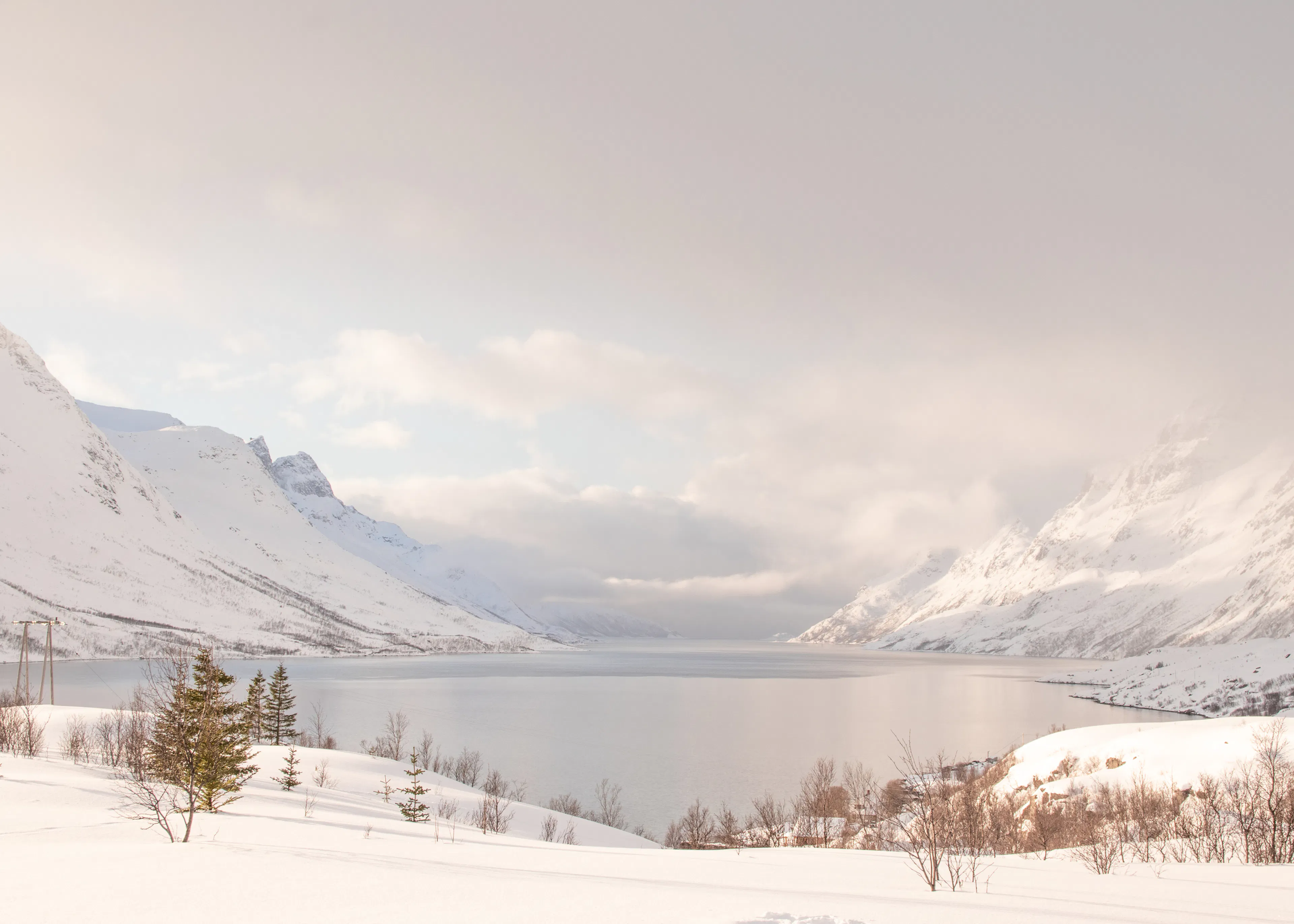 Blue Winter Serenity Poster 0