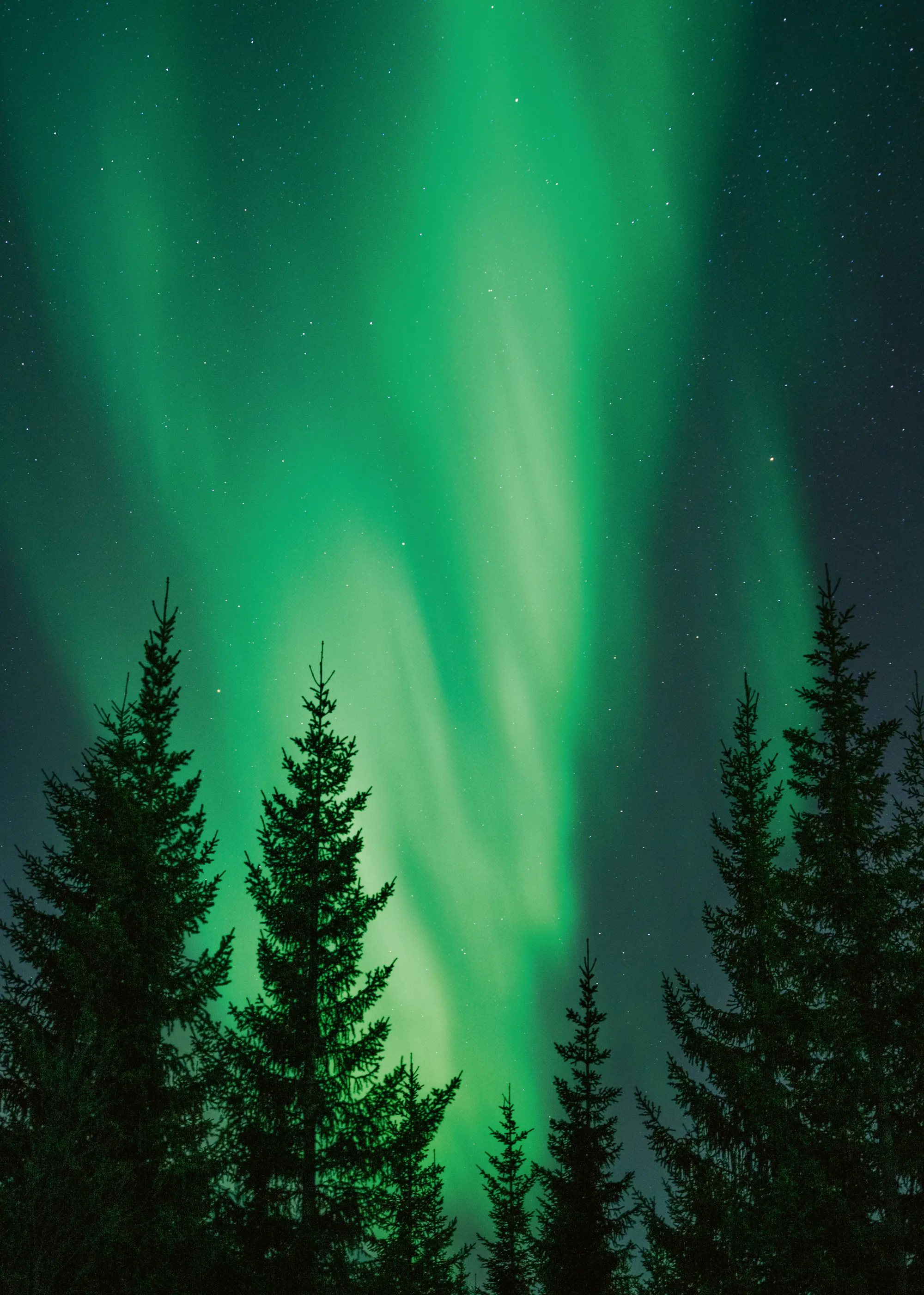Aurora Lights Poster 0