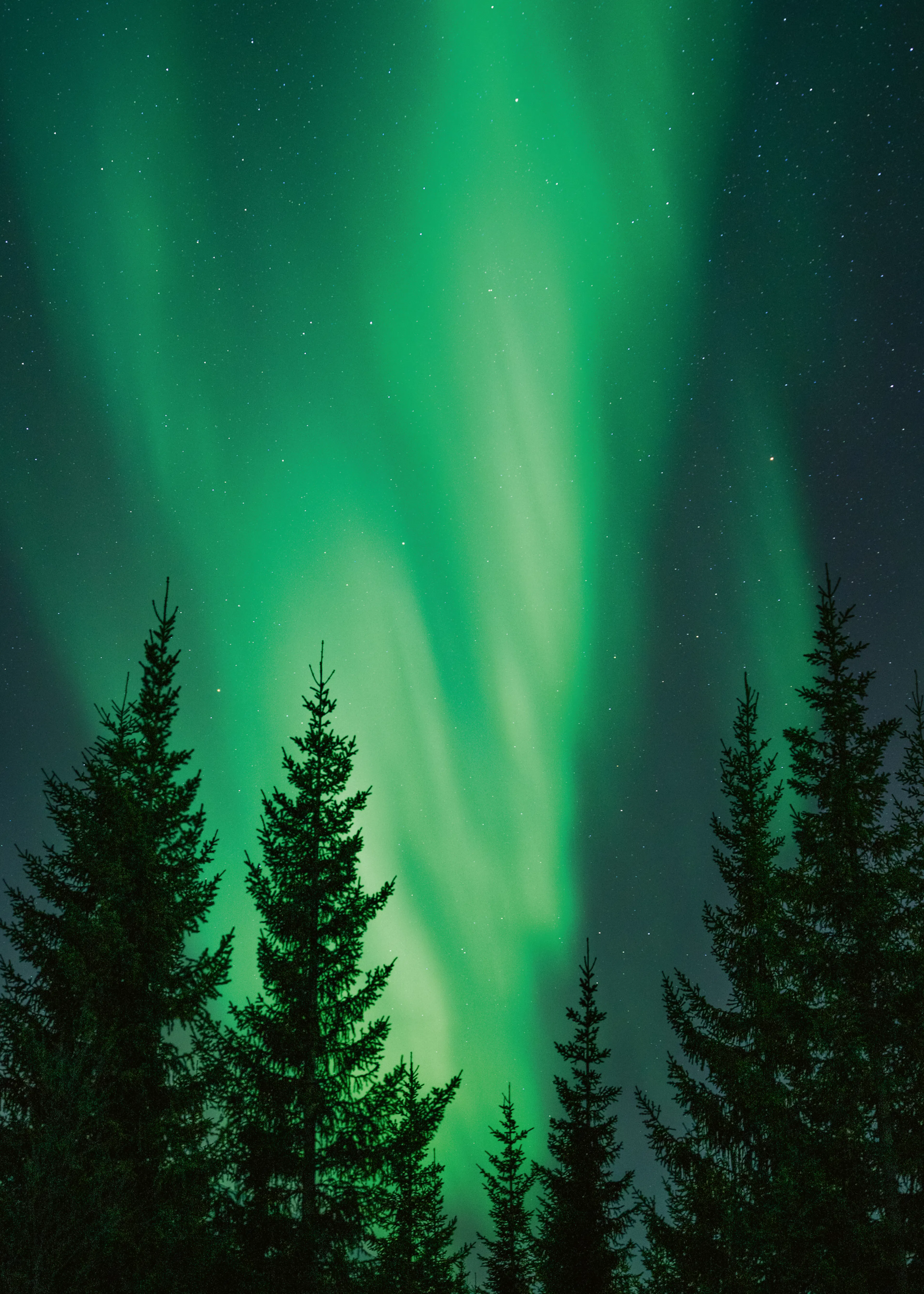 Aurora Lights Poster 0