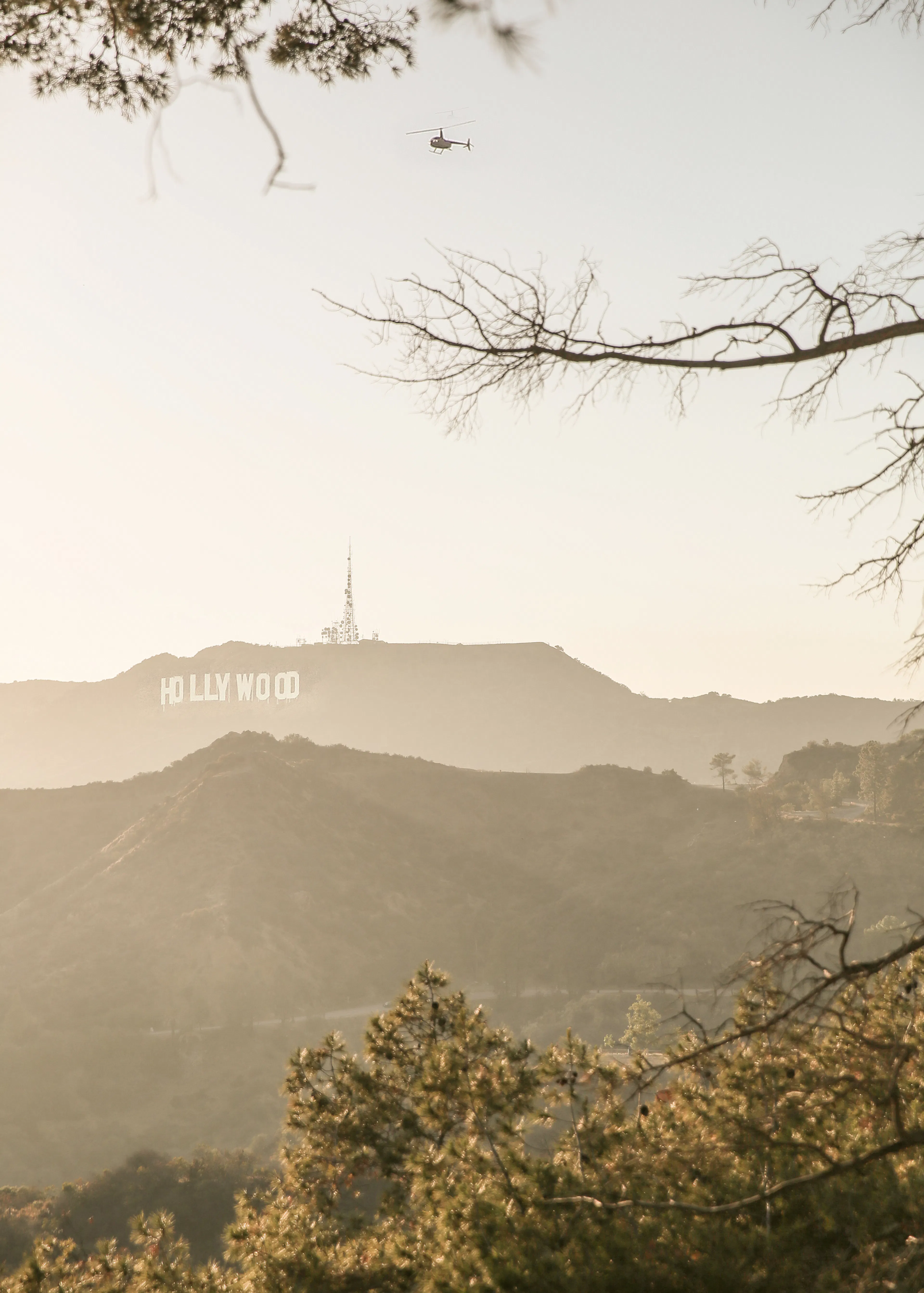 Hollywood Hills Poster 0