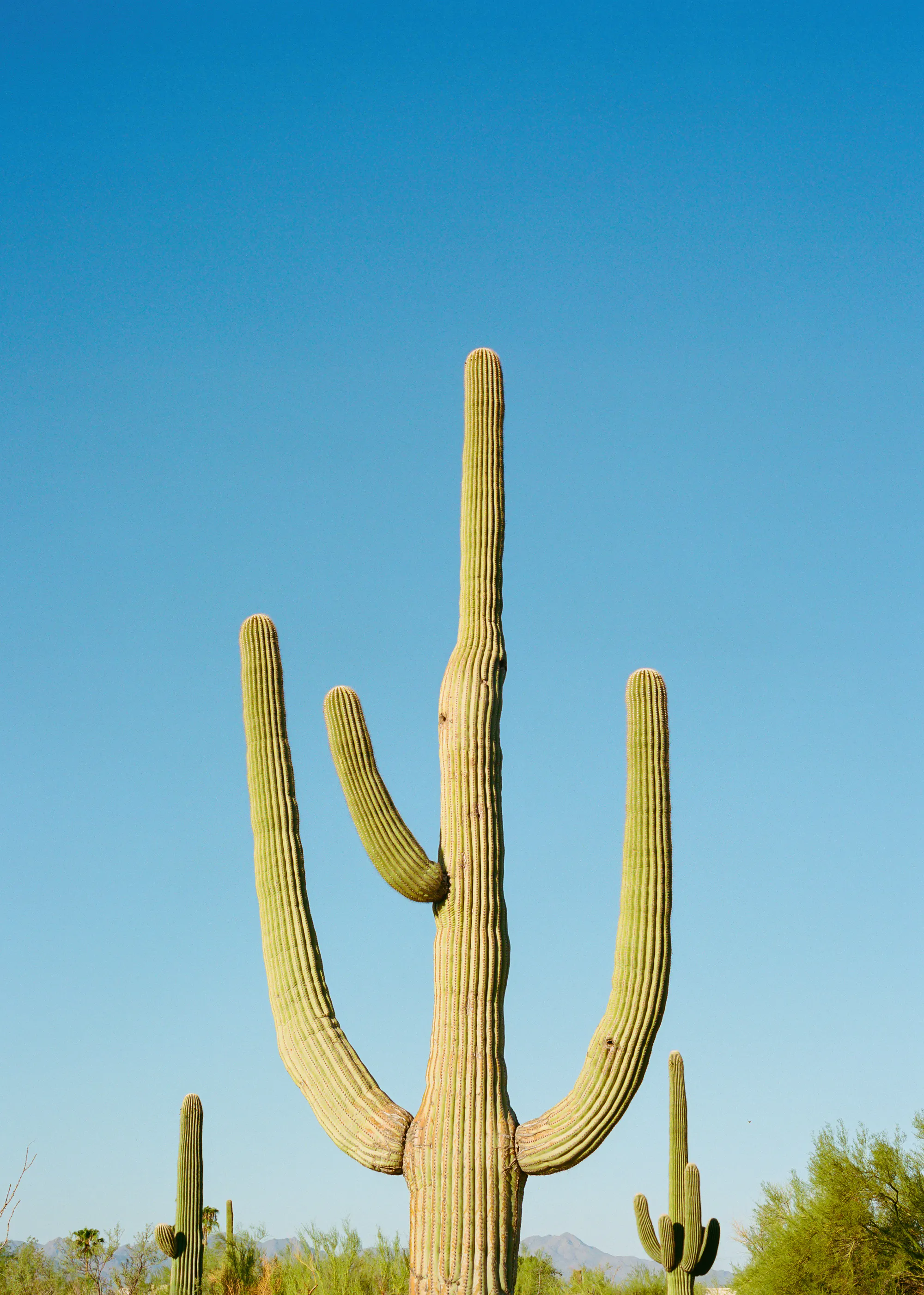 Serene Blue Desert Serenity Poster 0