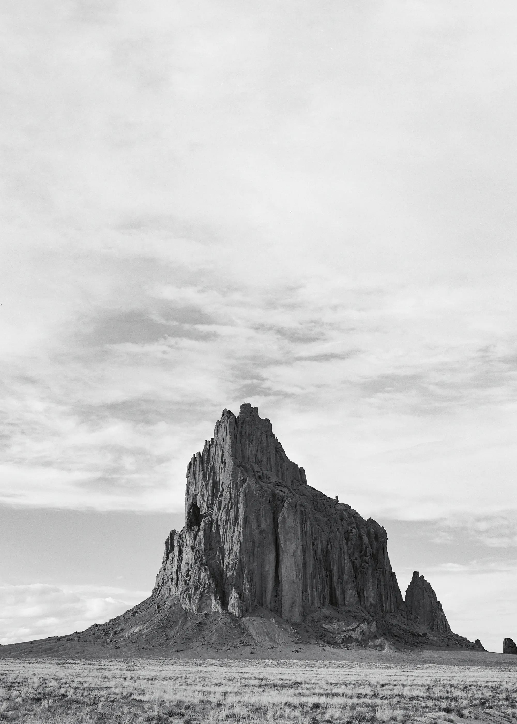 Majestad del Desierto Marrón Póster 0
