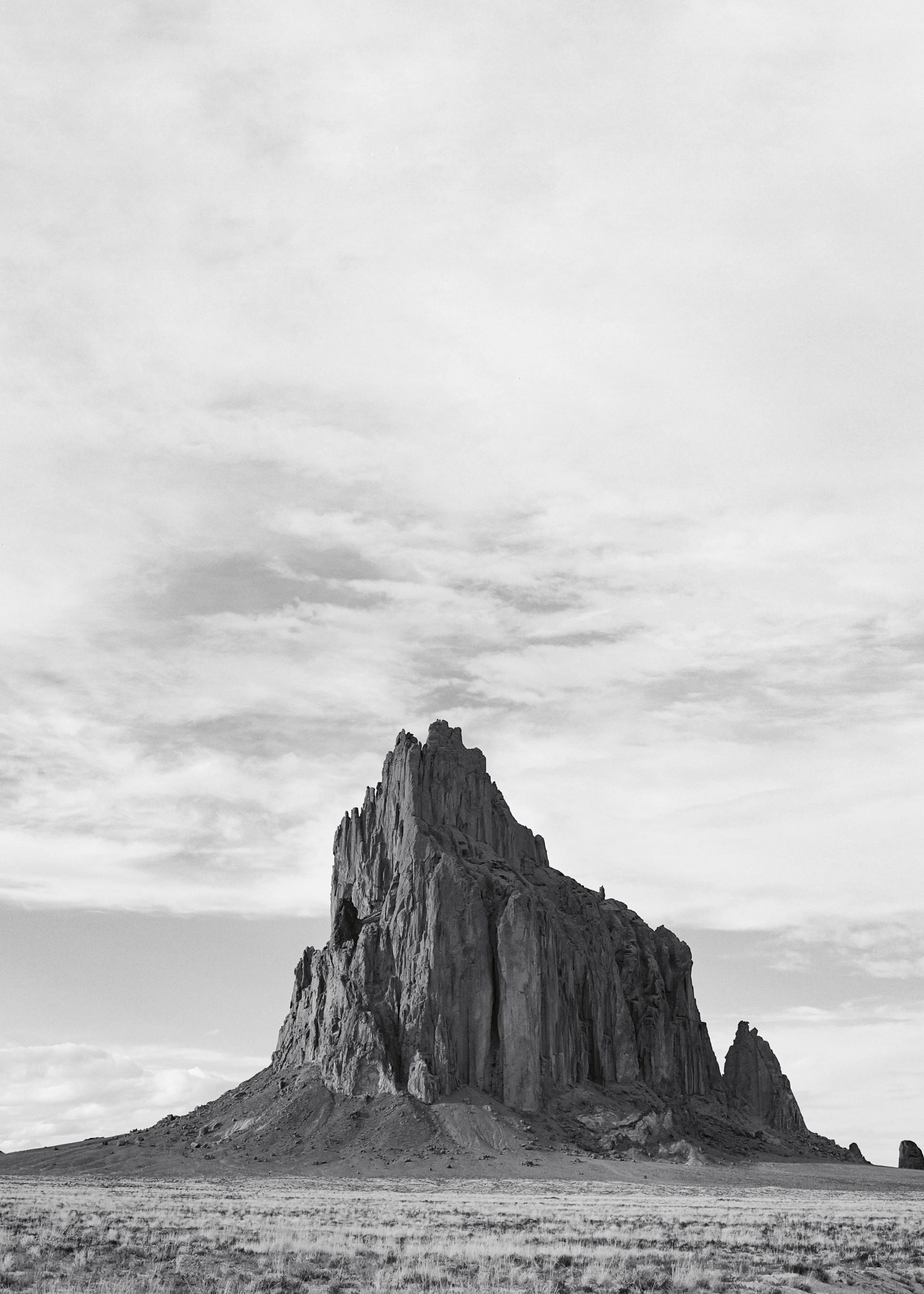 Majesté du Désert Brun Poster 0