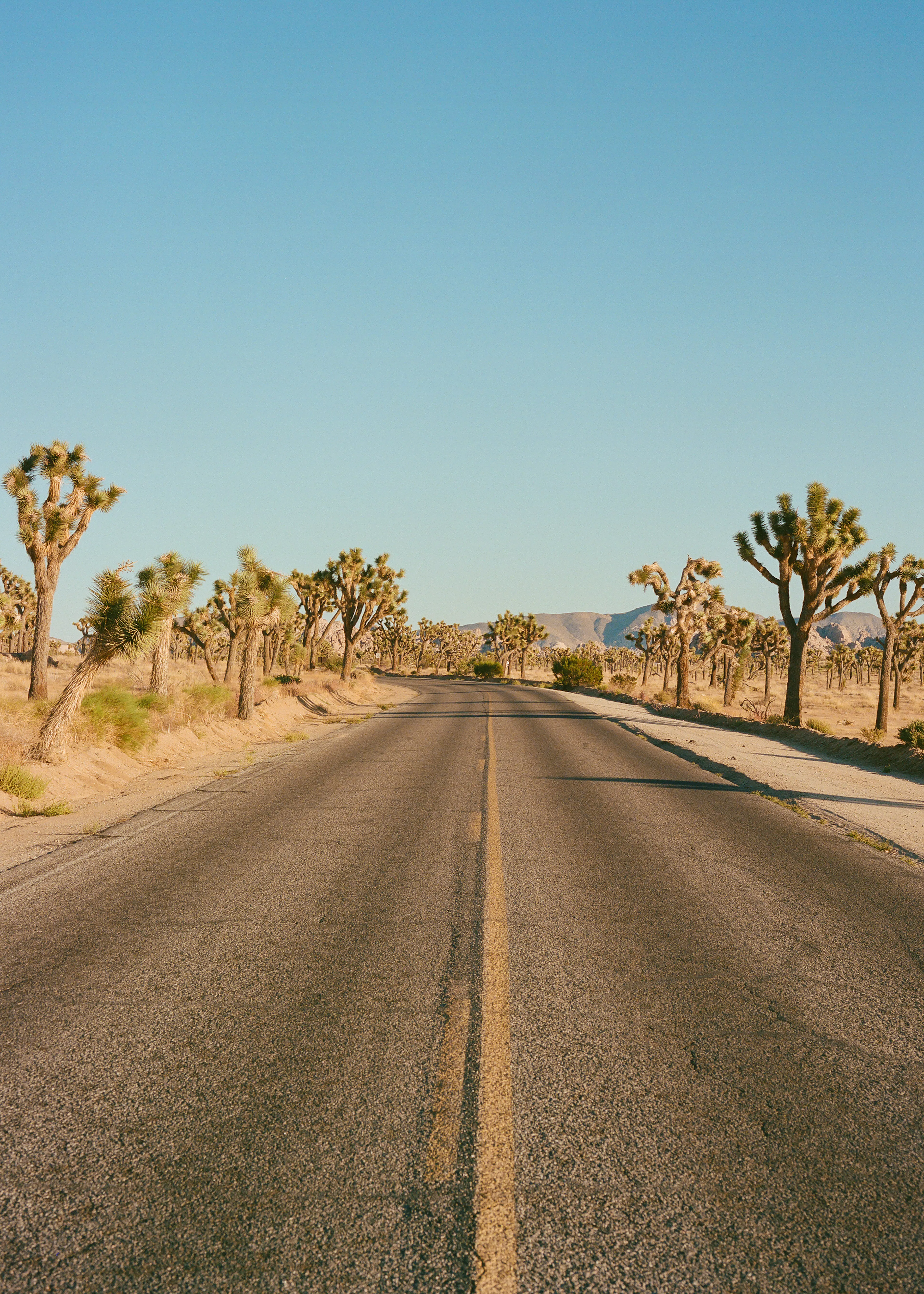 Desert Escape Poster 0