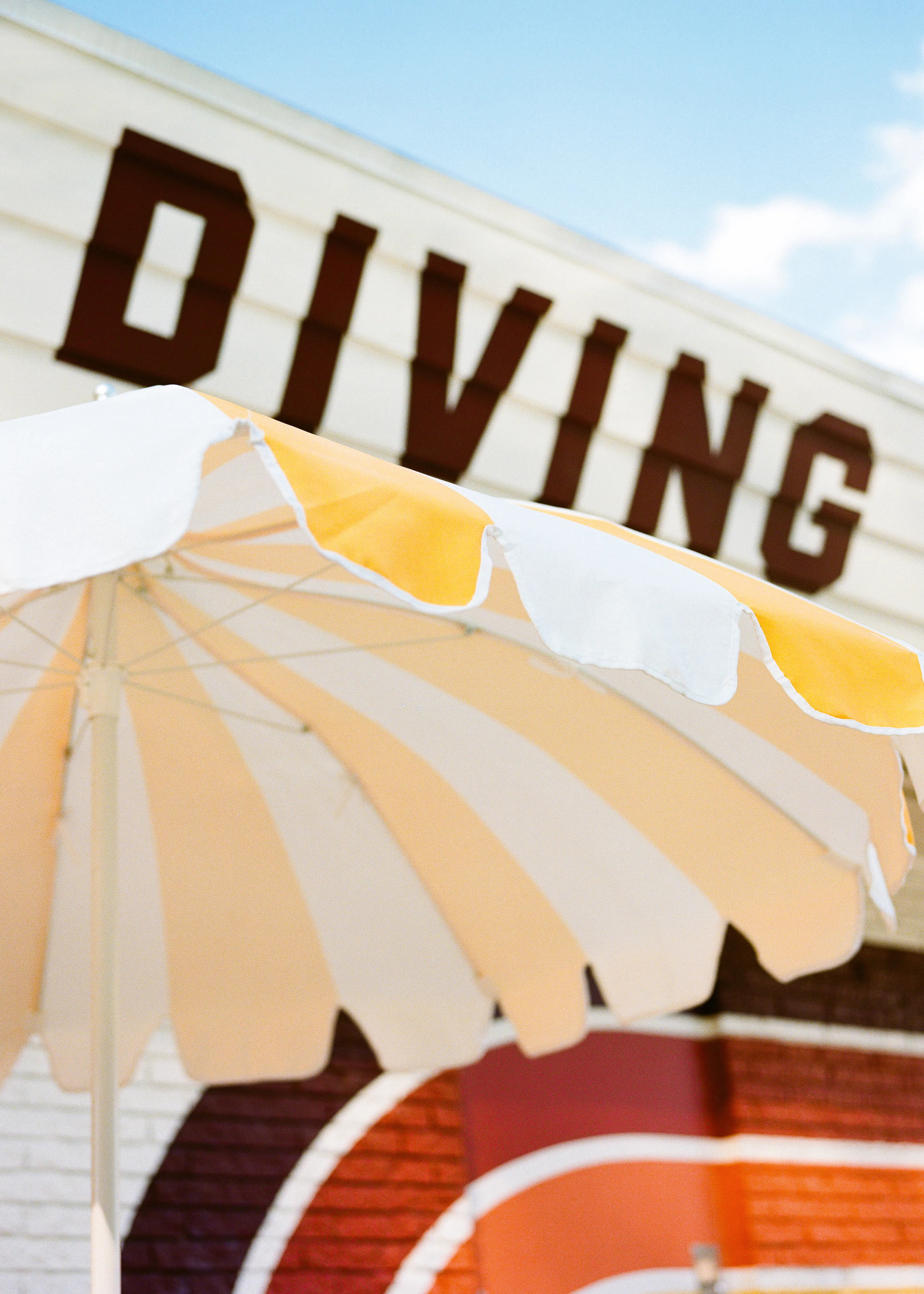 Diving Vibes Poster 0