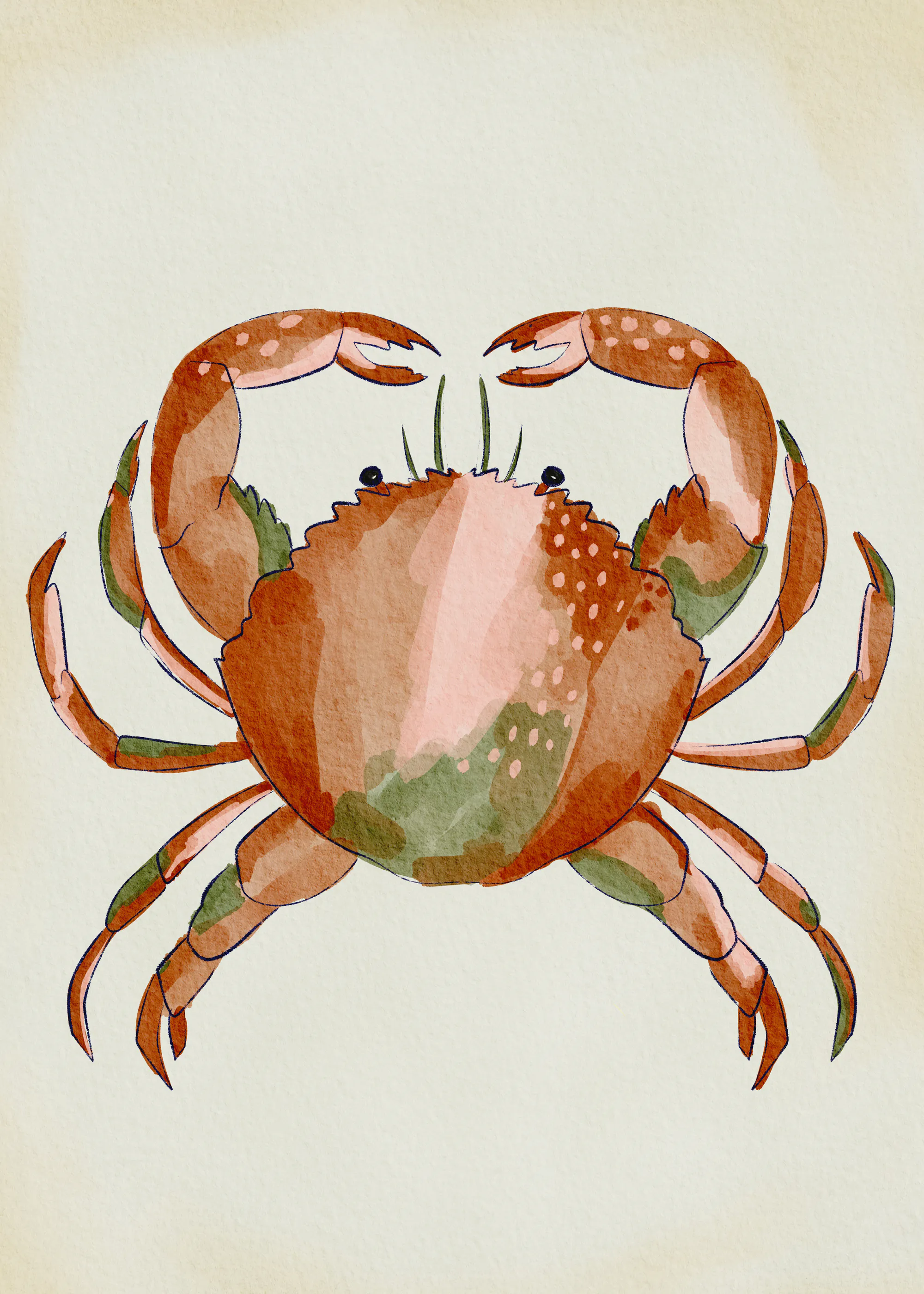 Krabbe Illustration Poster 0