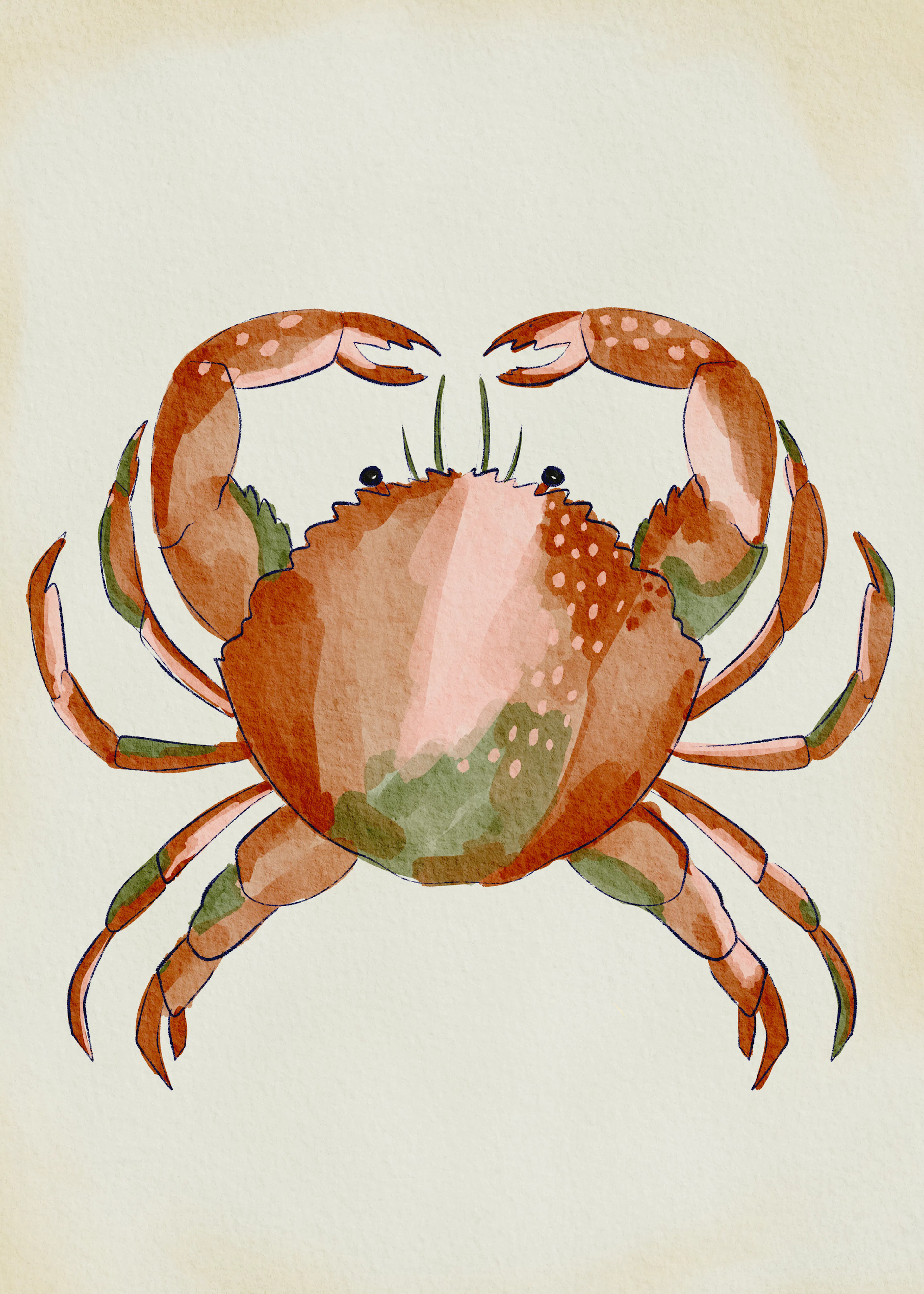 Illustration de Crabe Poster 0