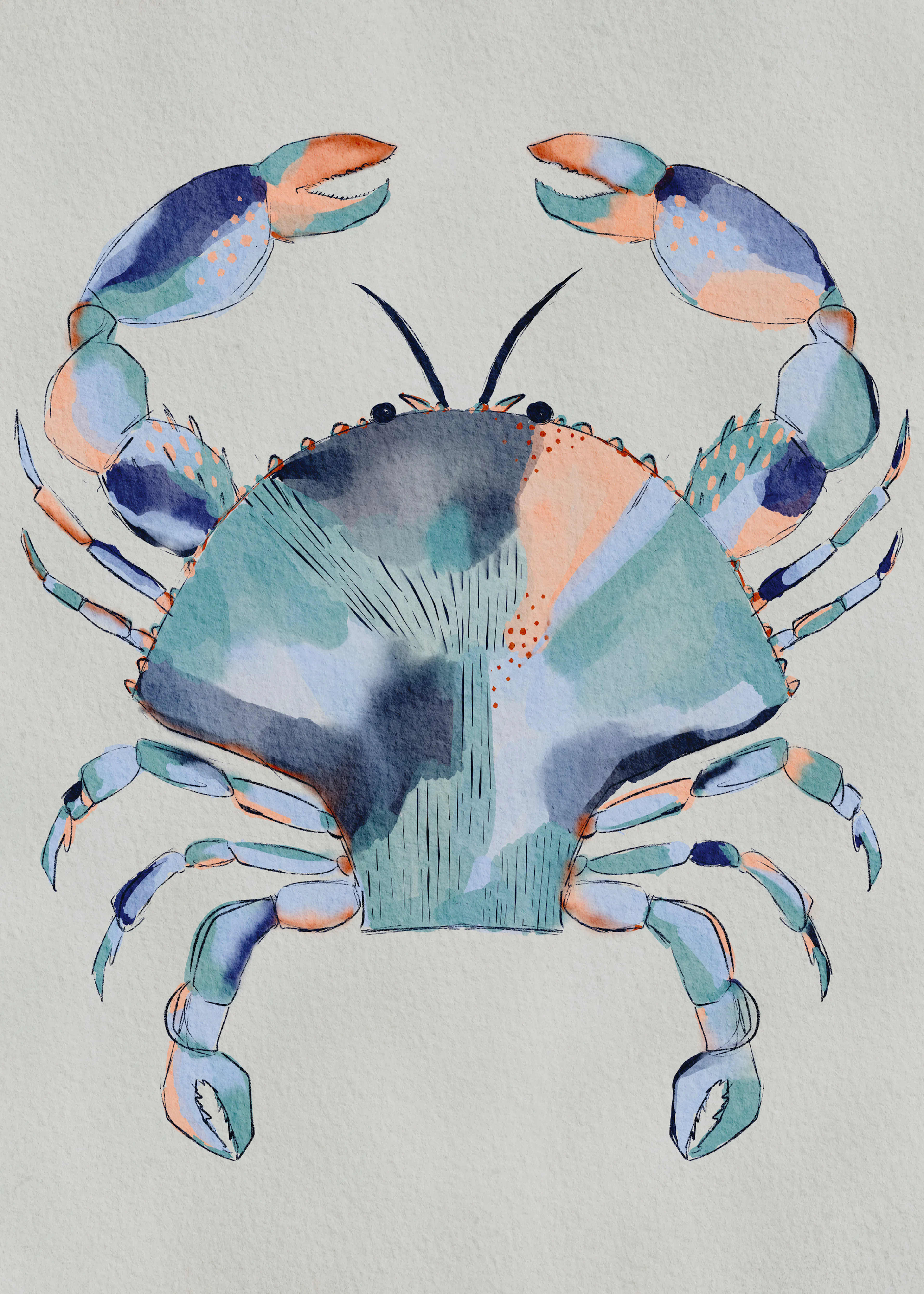 Crabe Bleu Poster 0