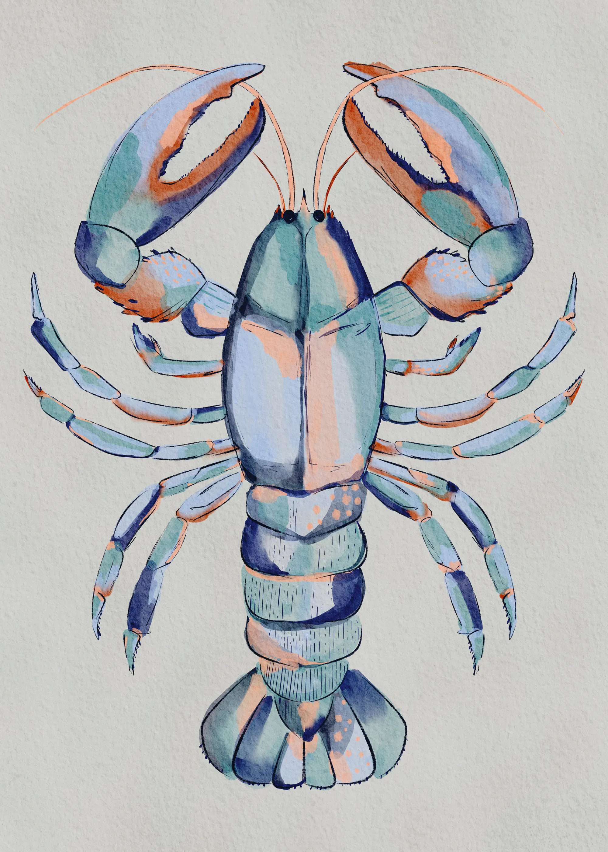 Blauwe Kreeft Poster 0