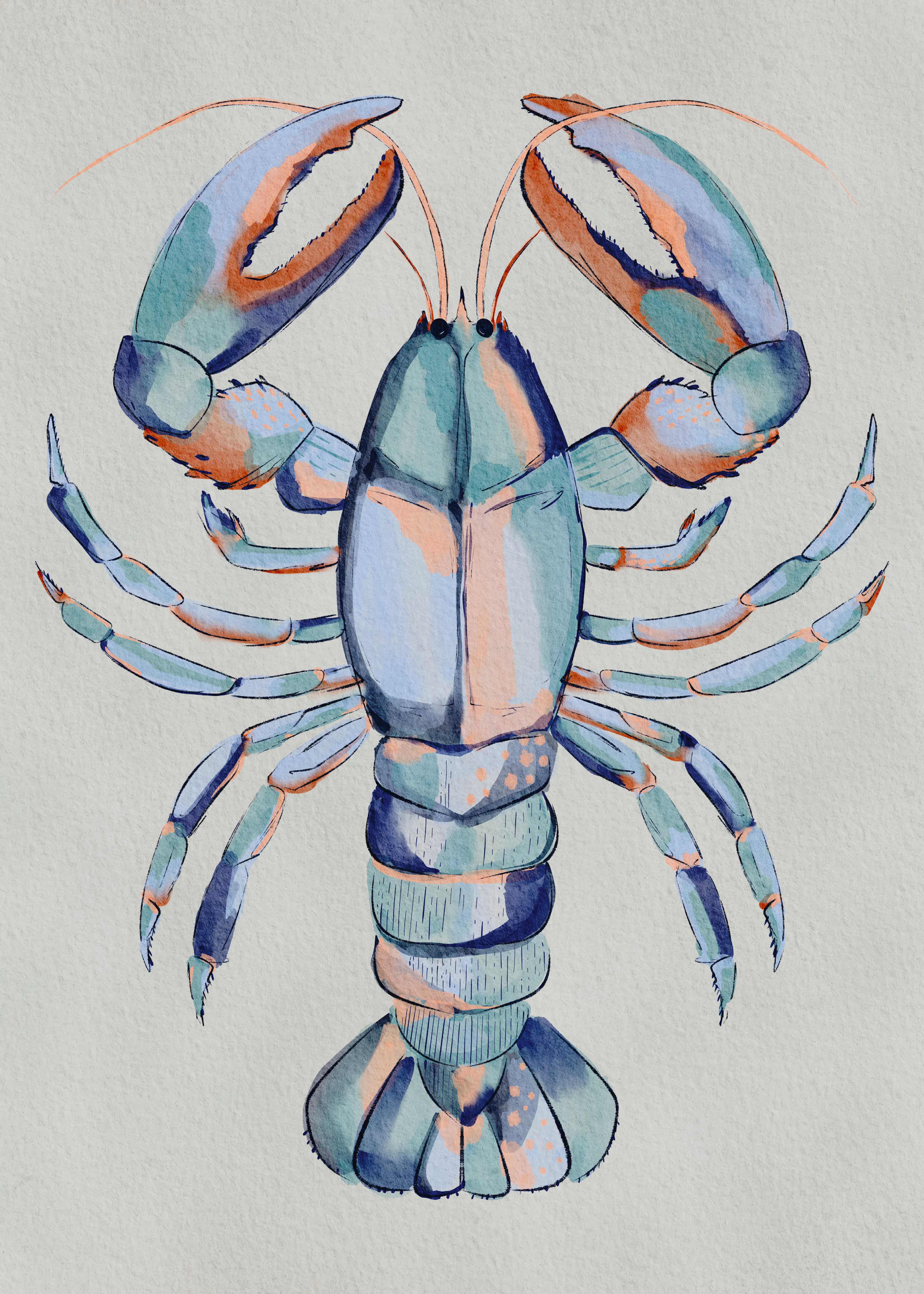 Blue Lobster Poster 0