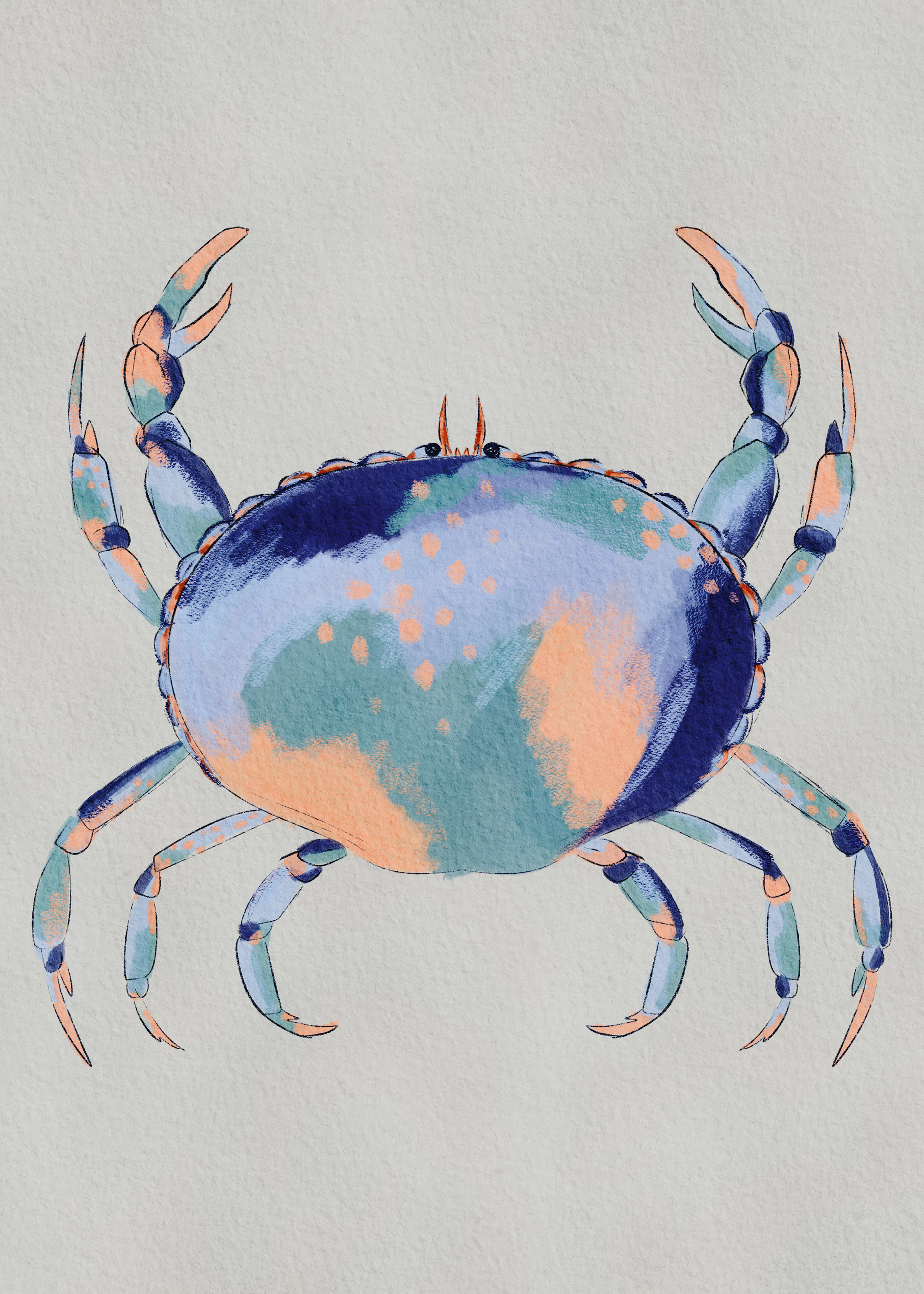 Crabe Océan Poster 0