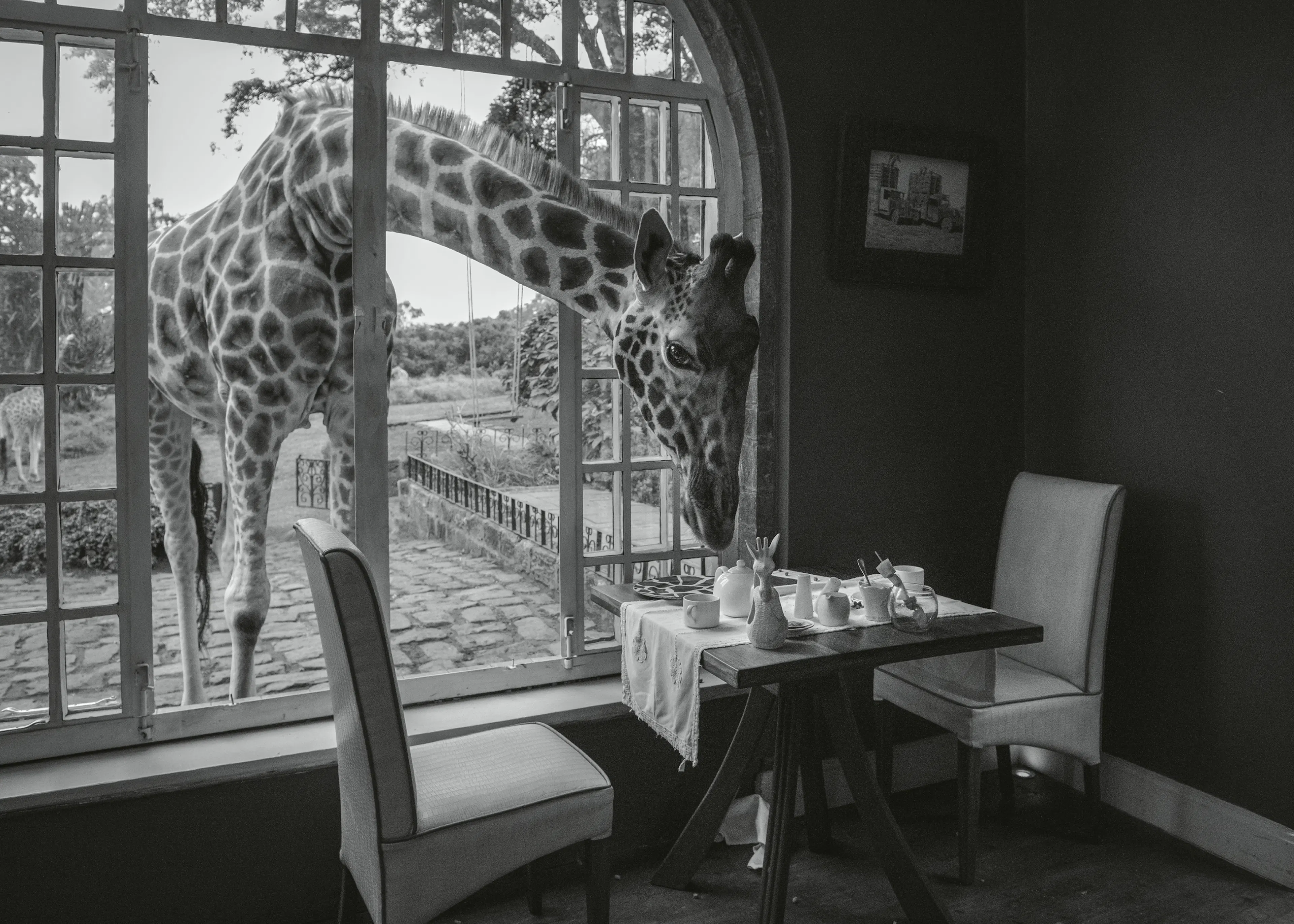 Safari Élégance Poster 0