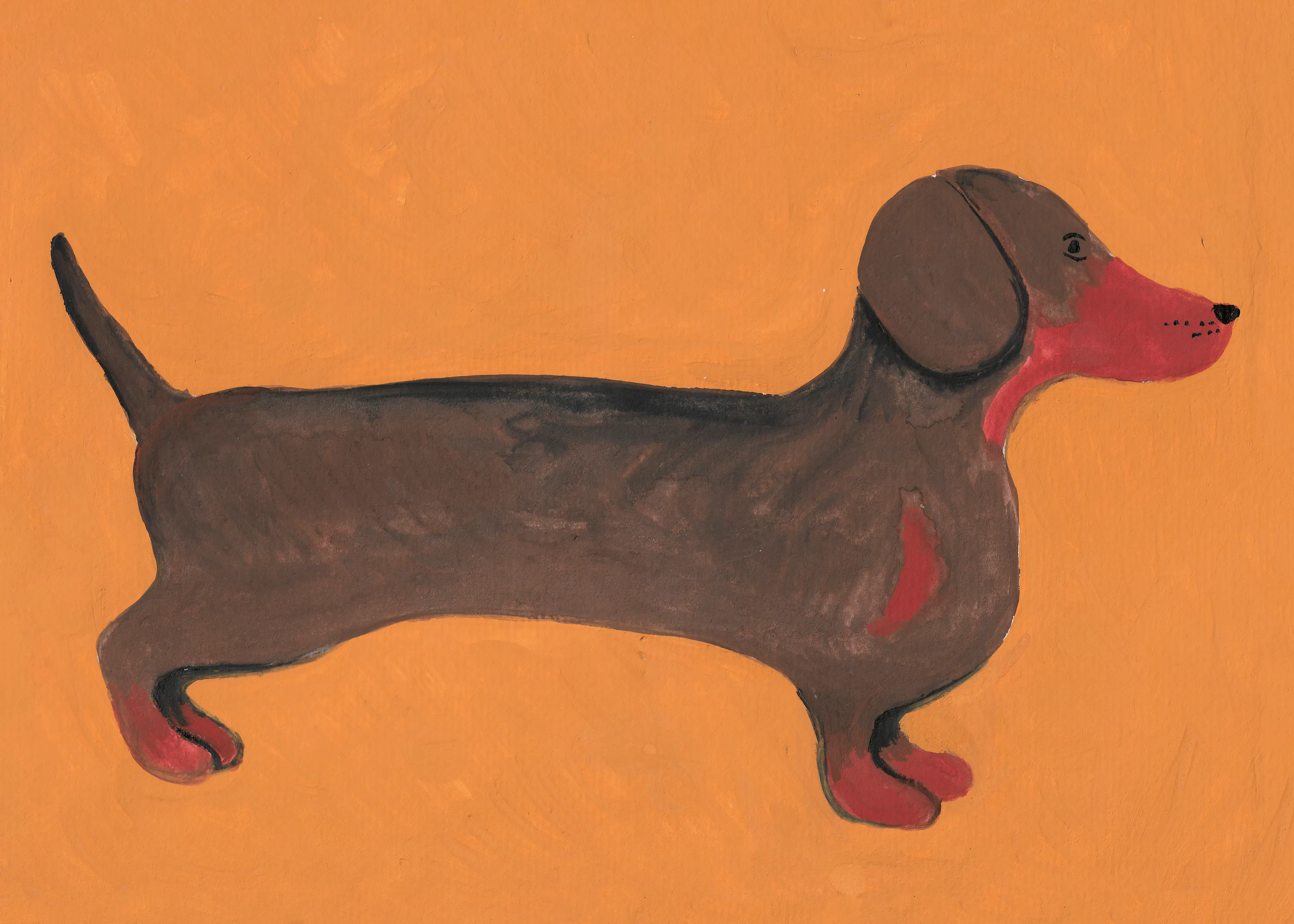 Dachshund Charm Poster 0