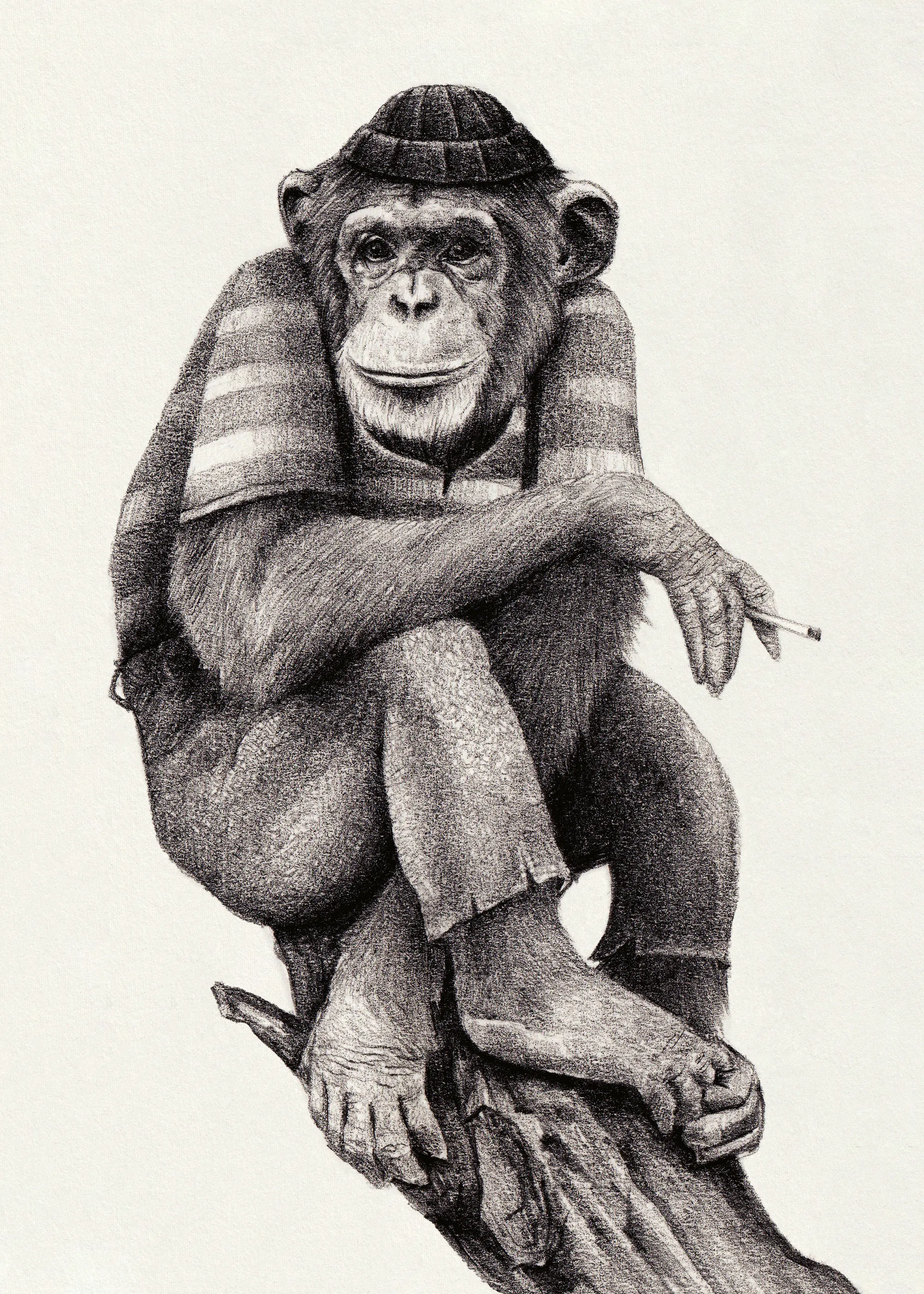 Chimpancé Chic Póster 0
