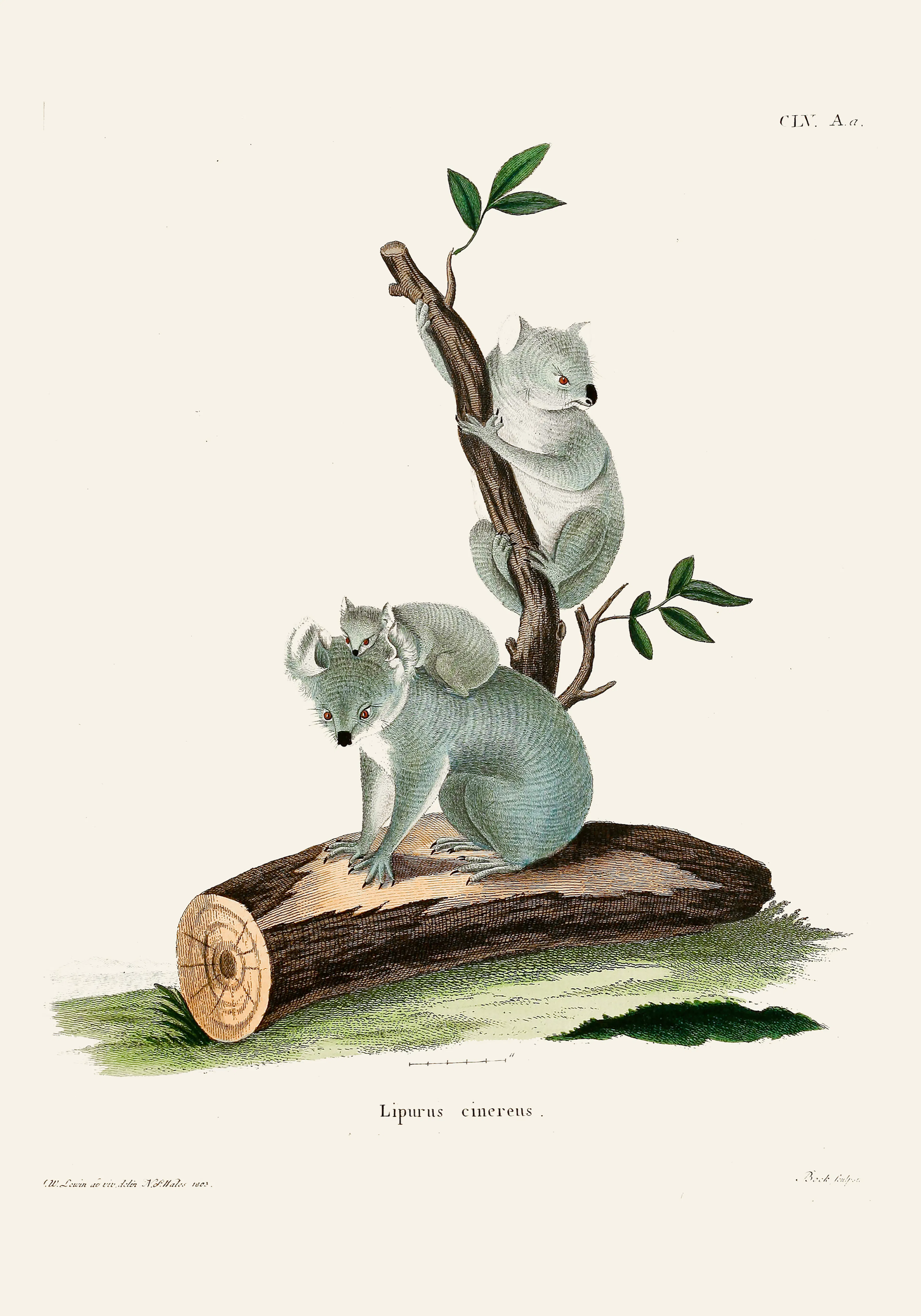 Product image: 1