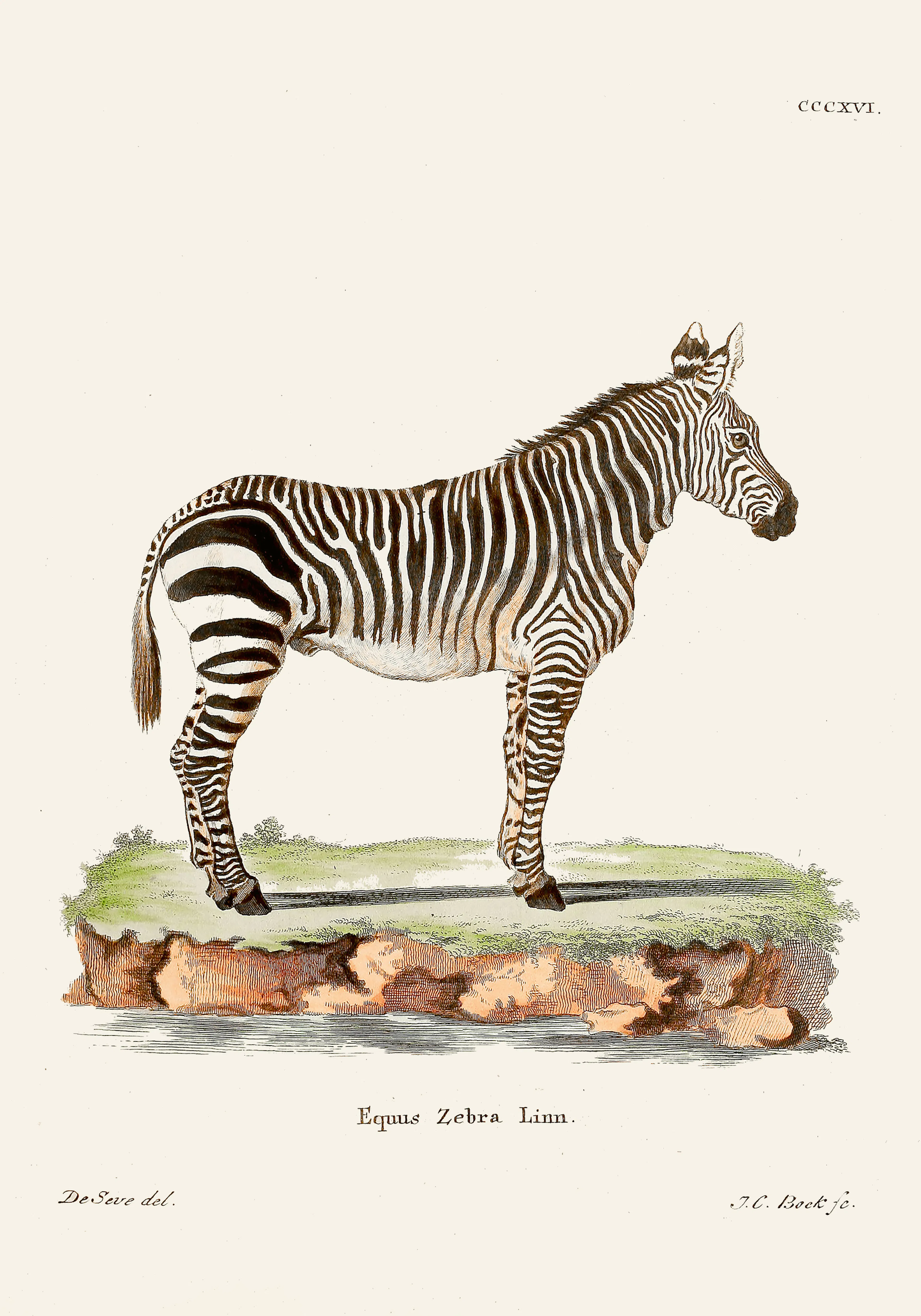 Product image: 1