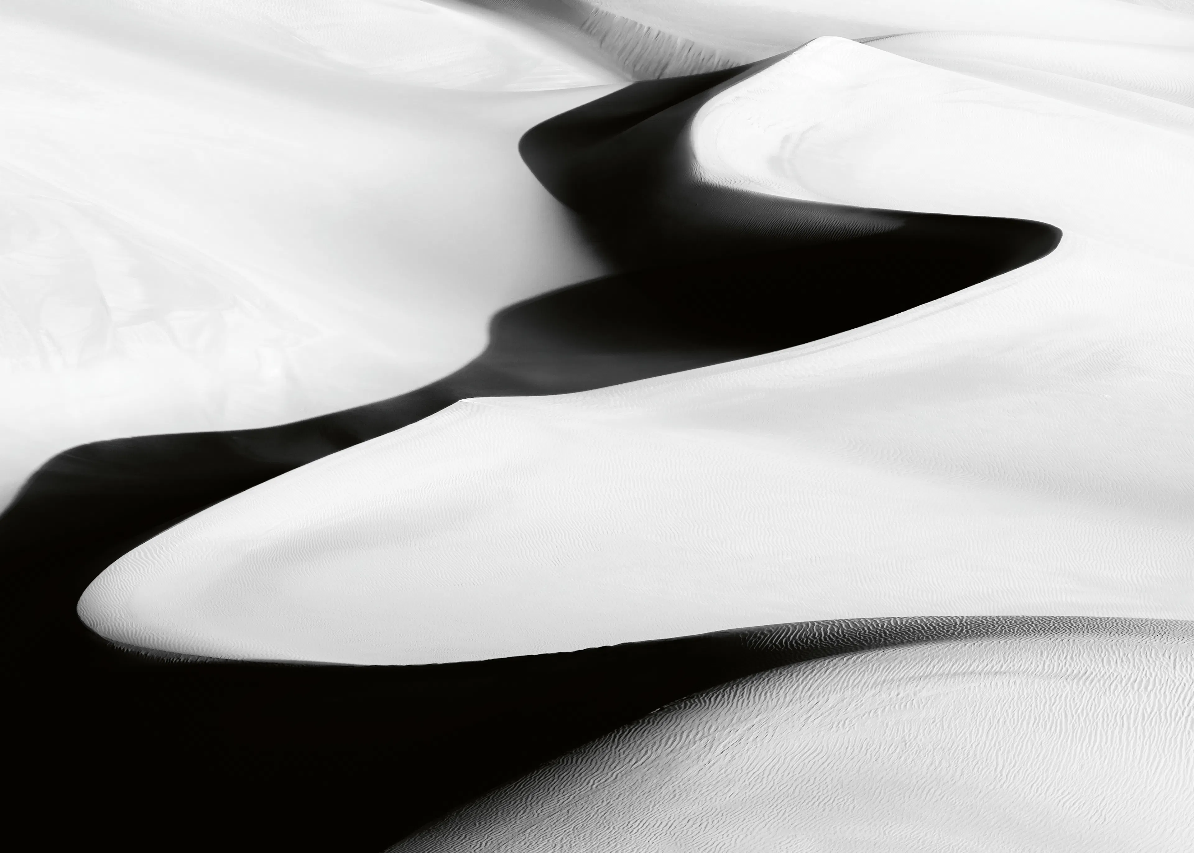 Black Desert Waves Poster 0