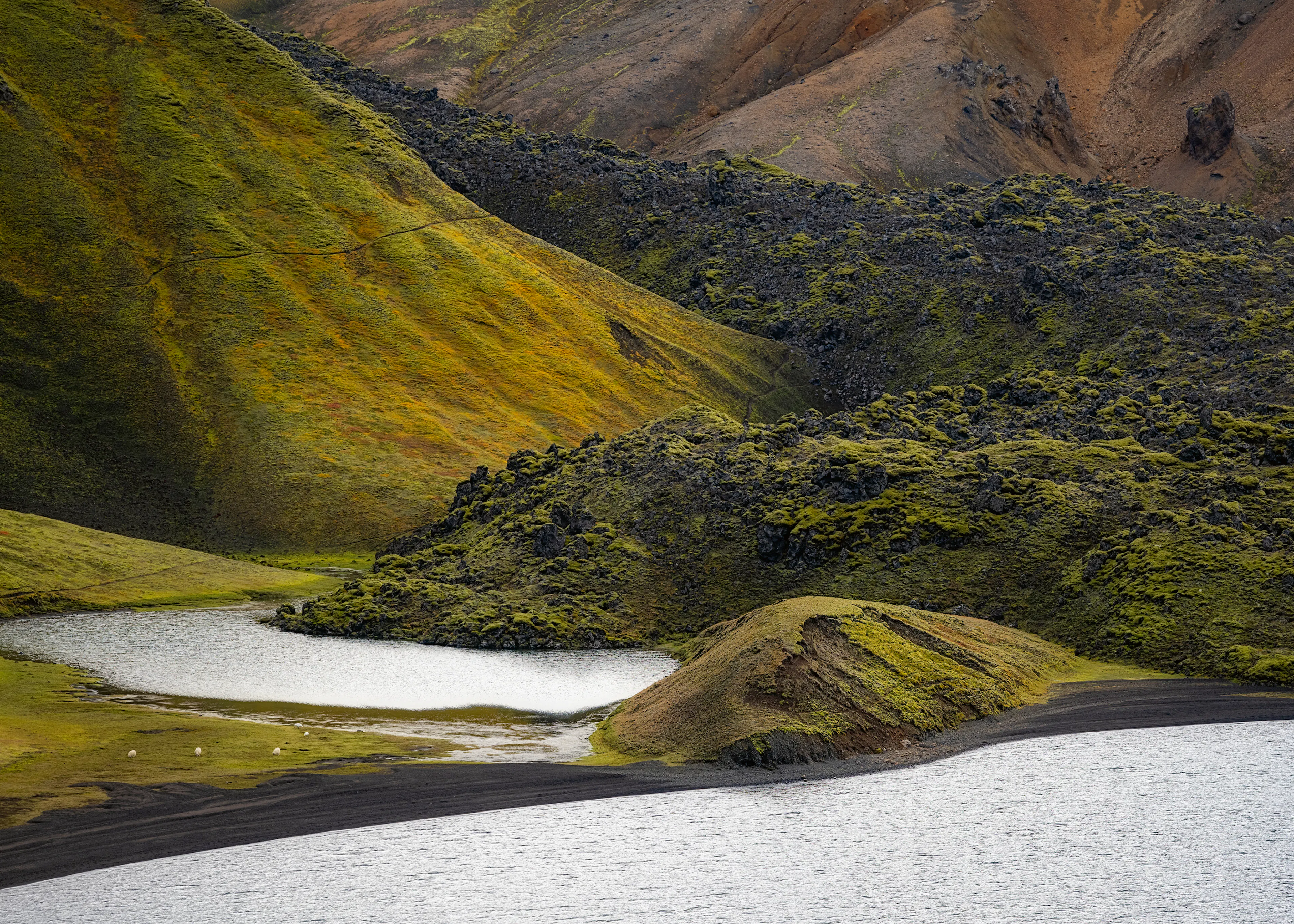 Paysage Volcanique Poster 0