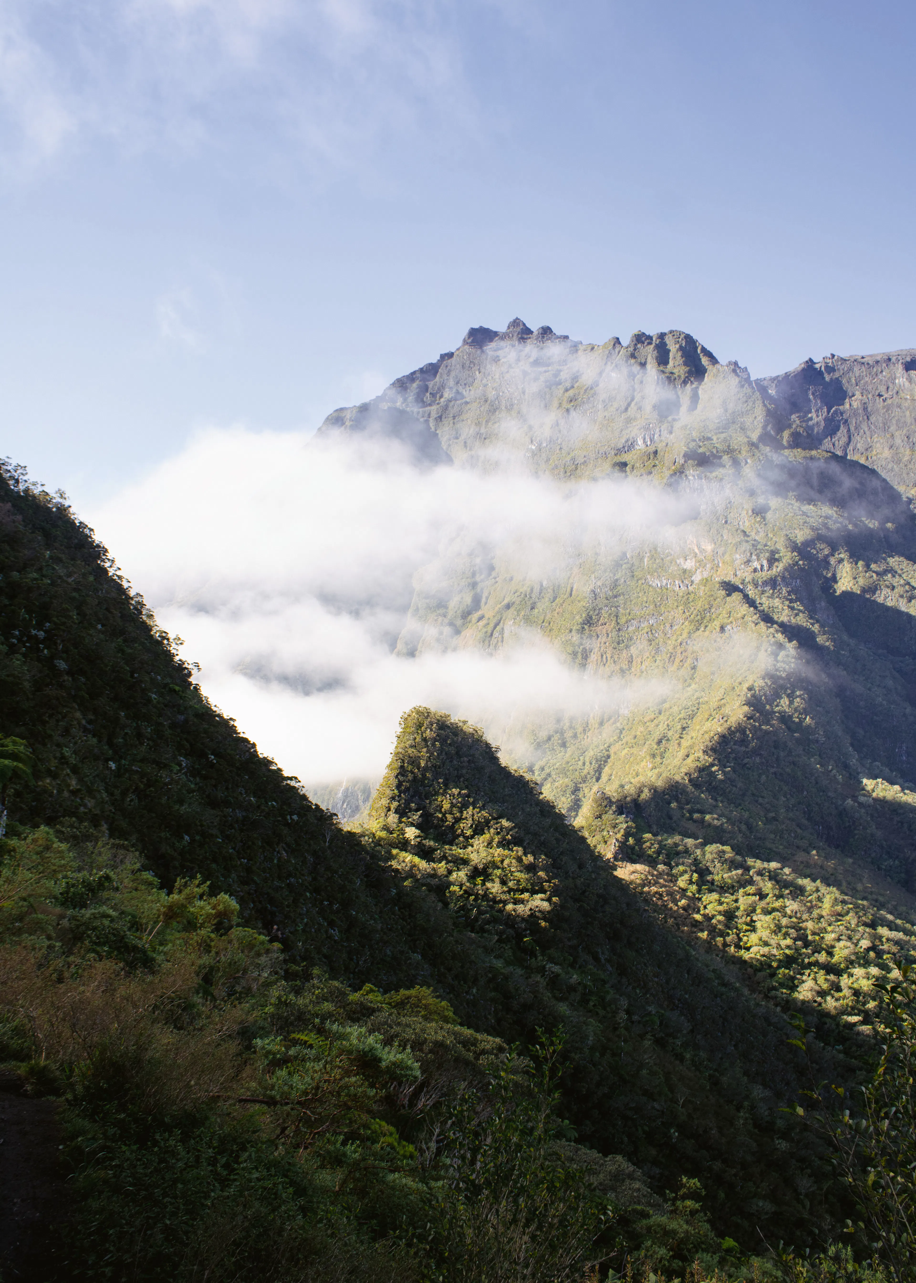 Sérénité Majestueuse de la Montagne Verte Poster 0