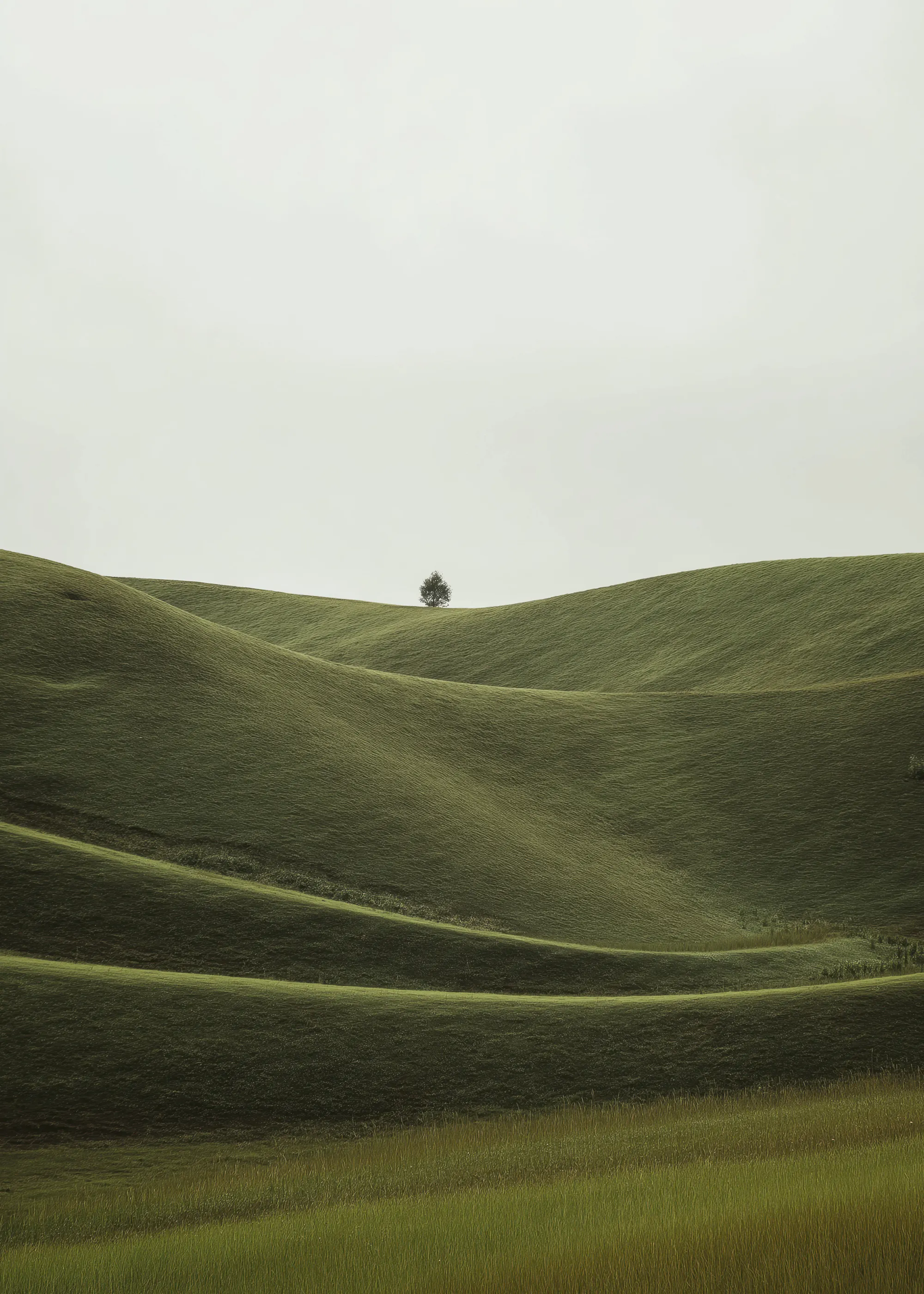 Tranquil Peaceful Green Serene Landscape Poster 0