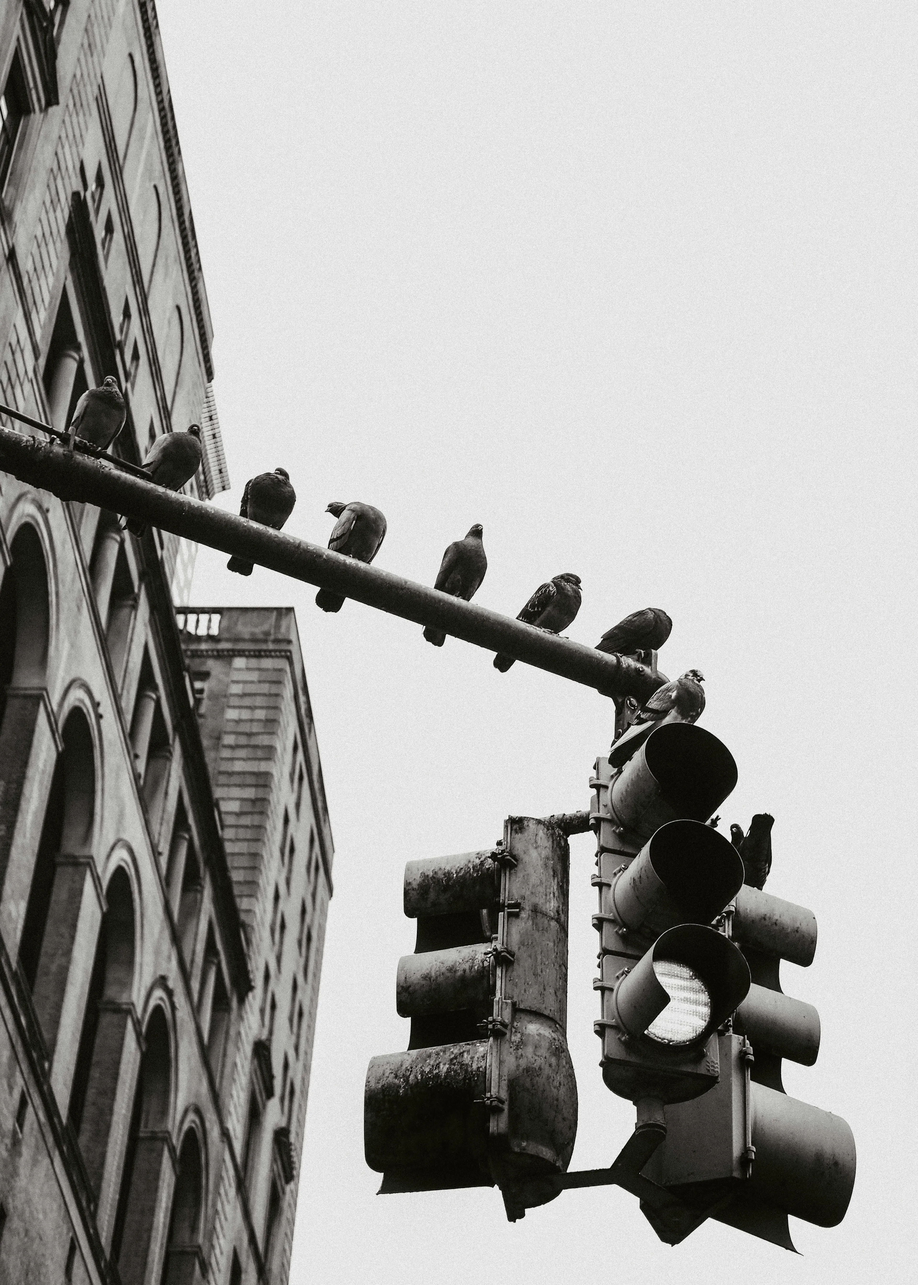 Urban Vibes Poster 0