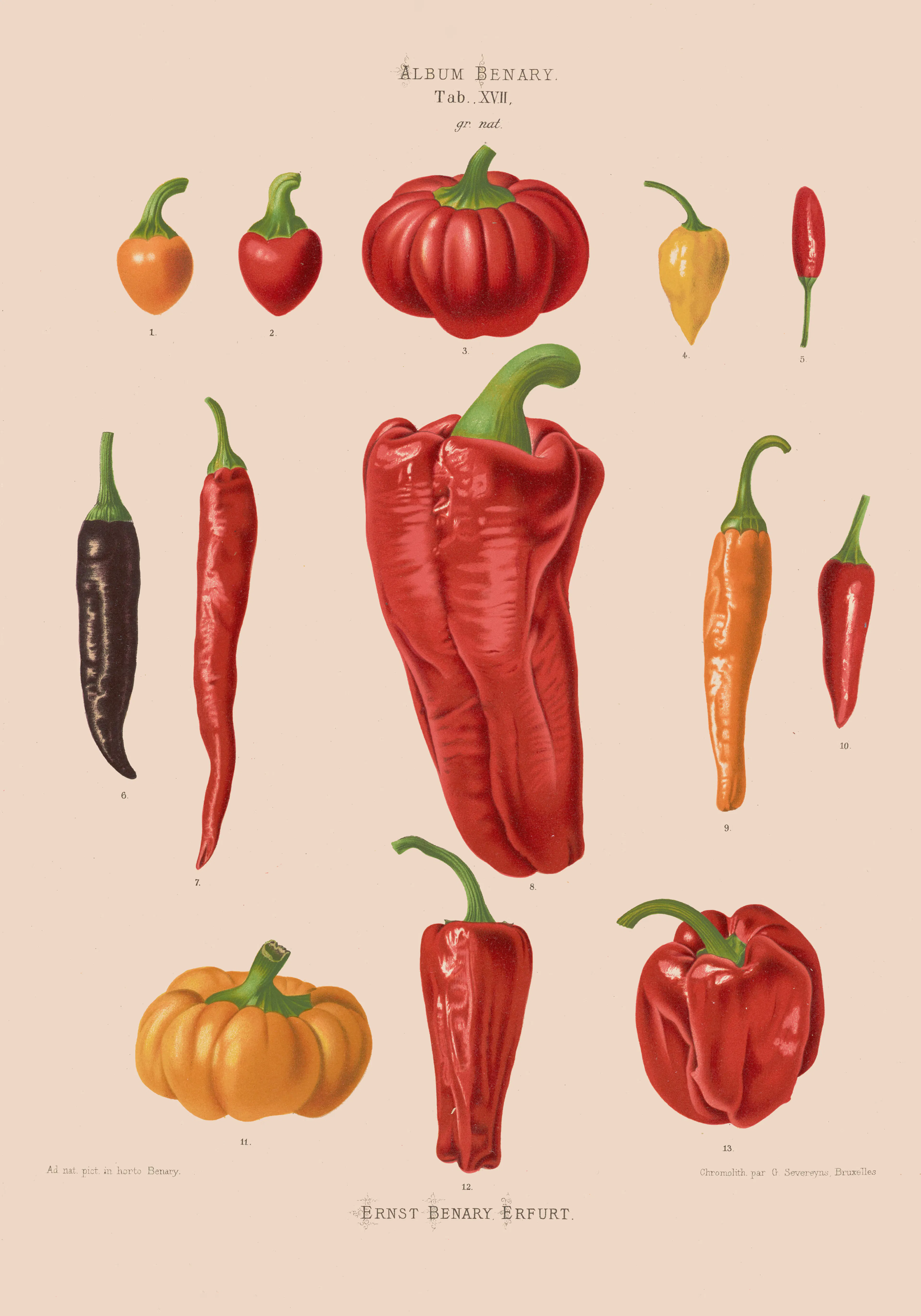 Product image: 1