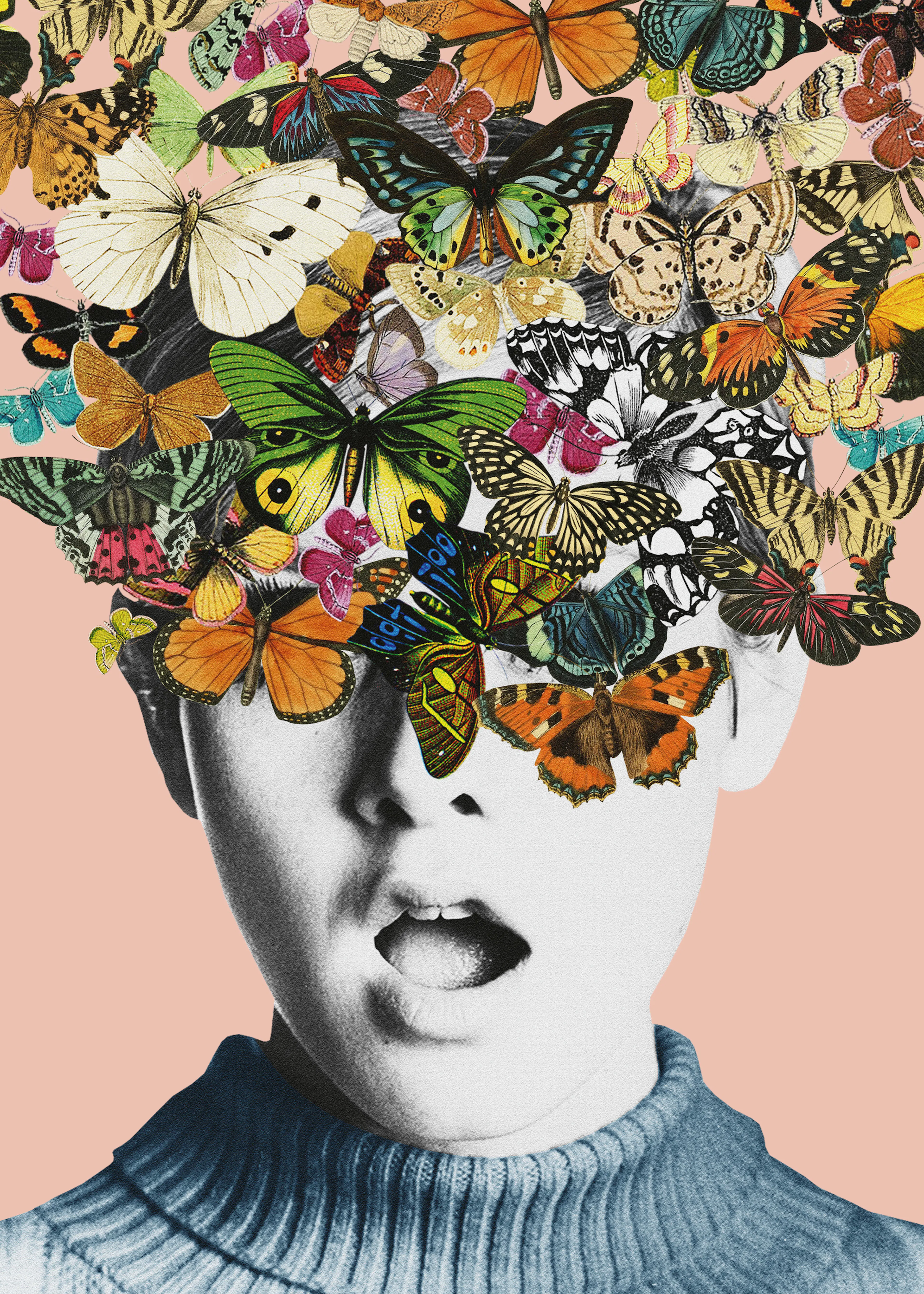 Papillon en Fleurs Poster 0