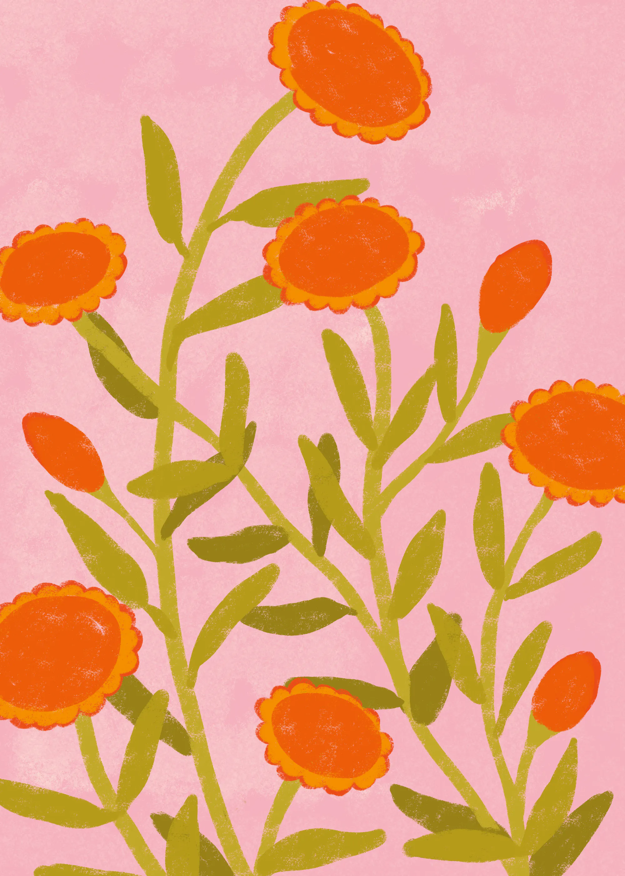 Sonnendurchflutete Blüten Poster 0