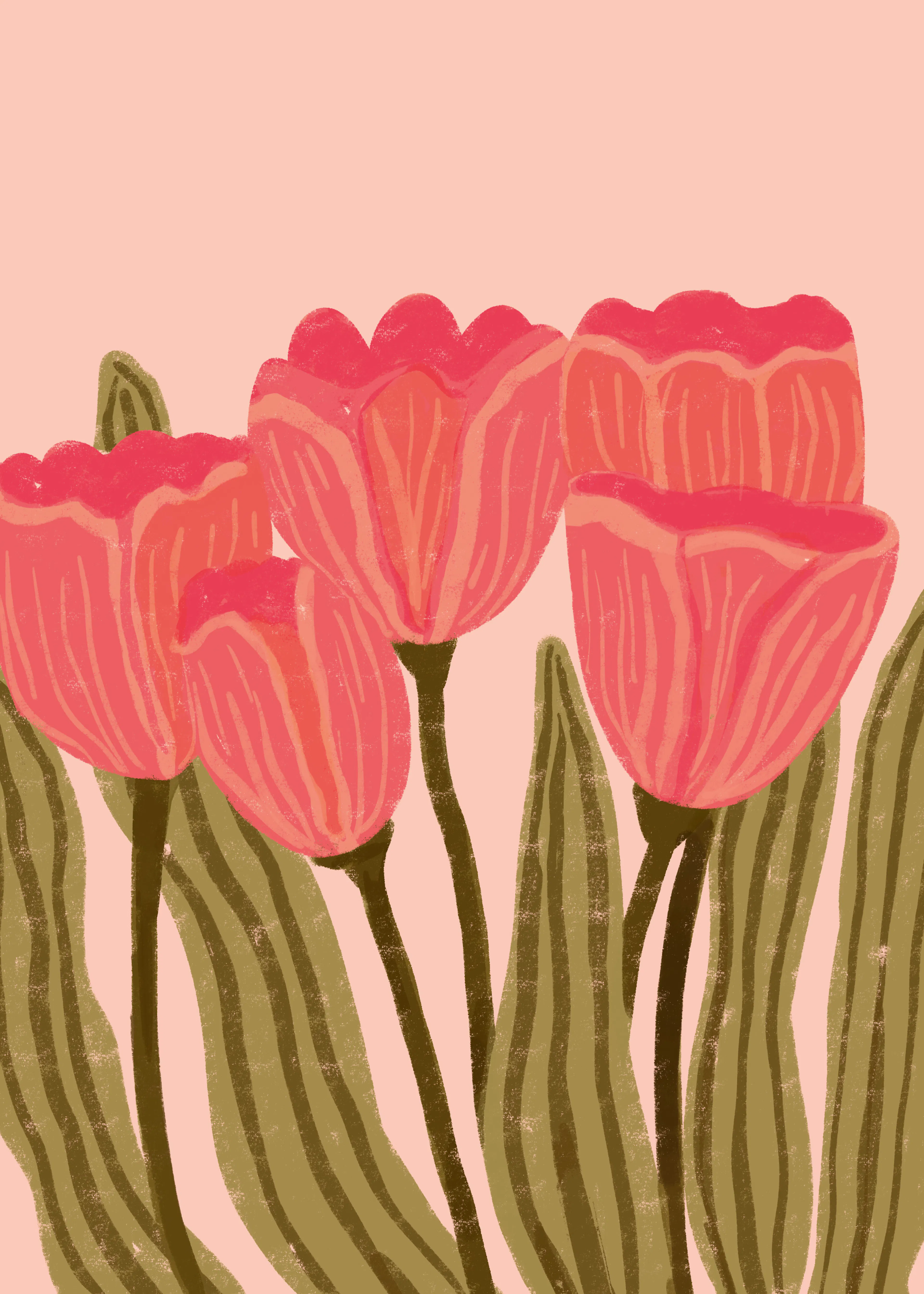 Tulip Bloom Poster 0