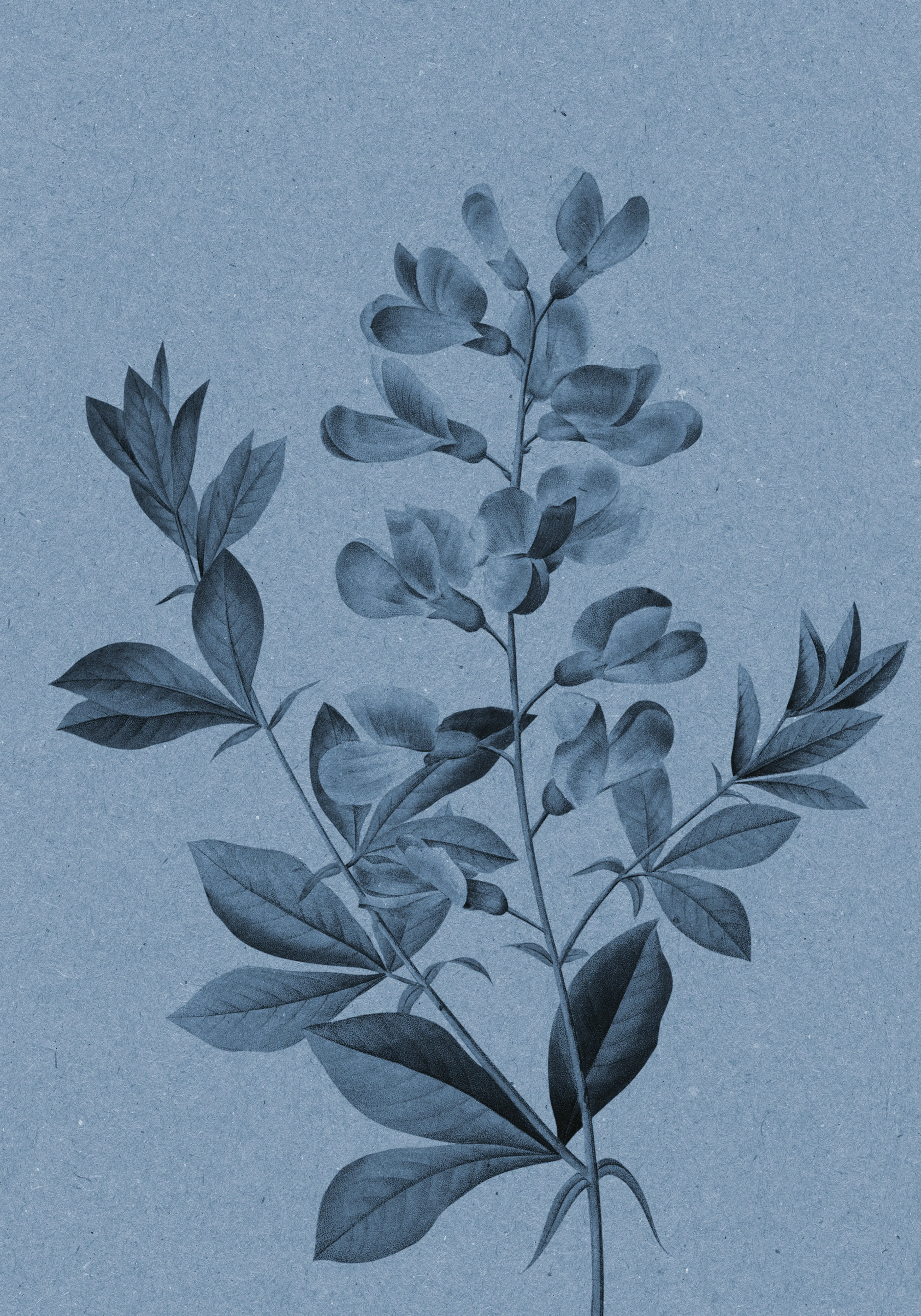 Product image: 1