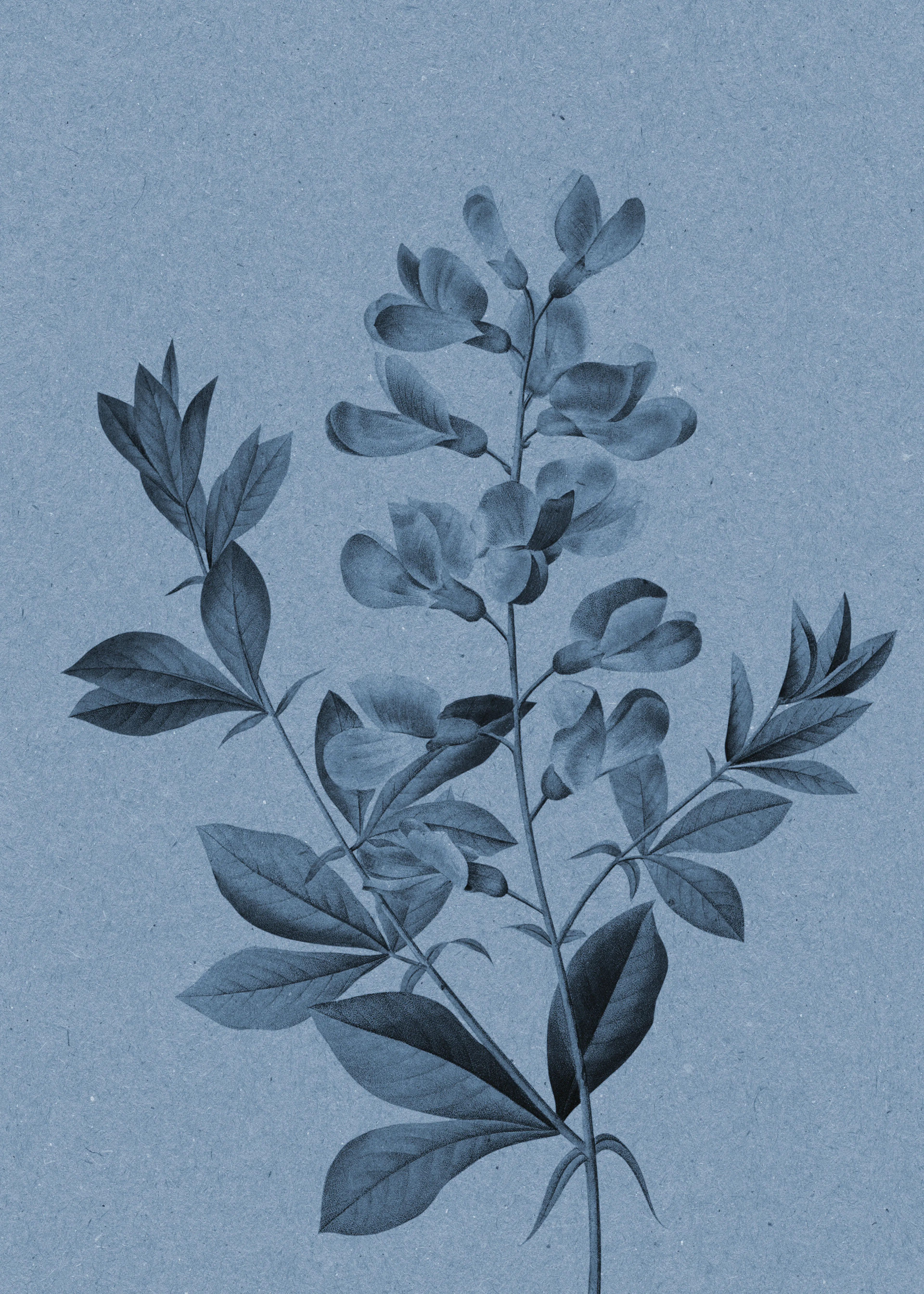 Blue Botanical Elegance Poster 0