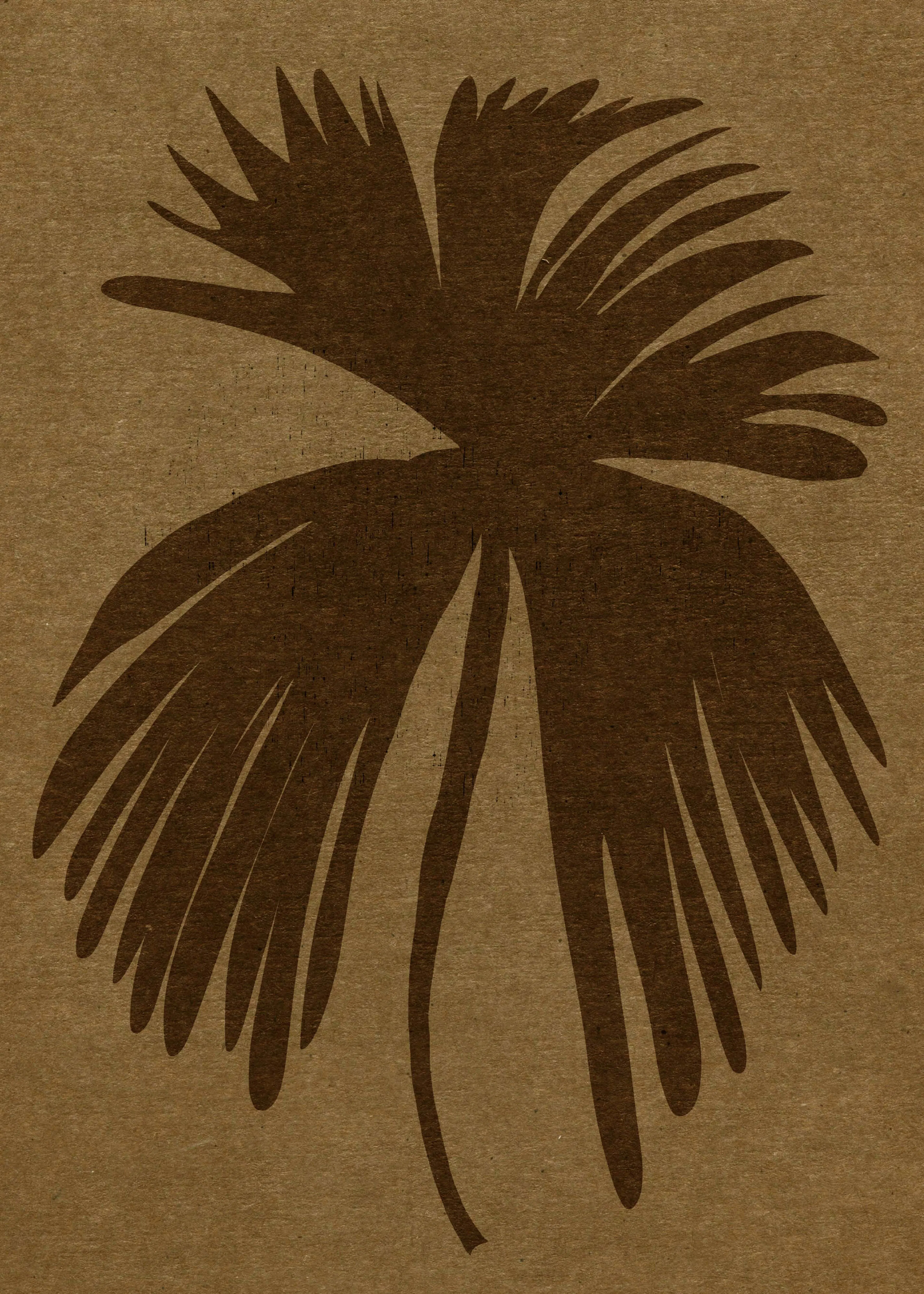 Silhouette Tropicale Poster 0