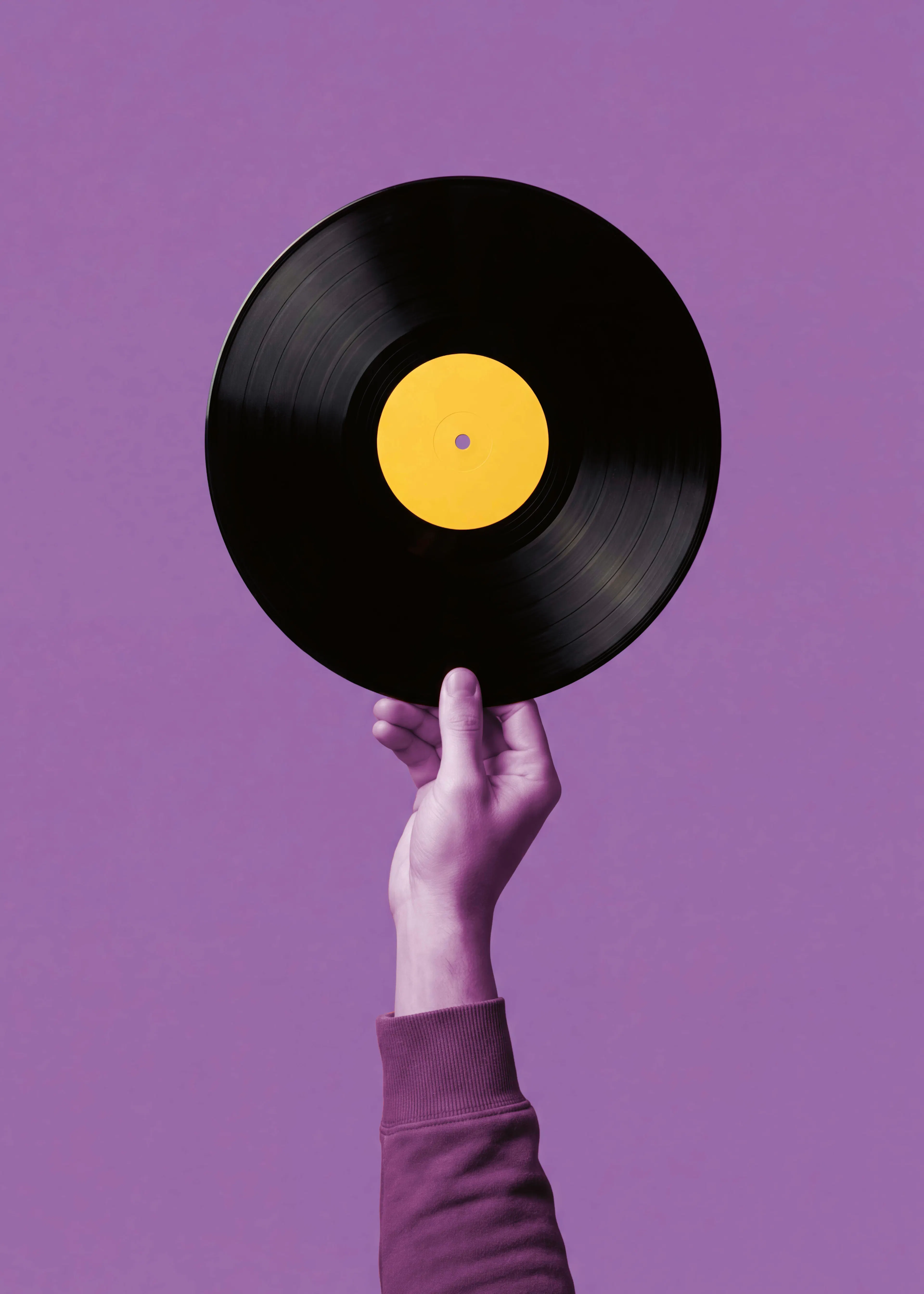 Purple Vinyl Vibes Poster 0