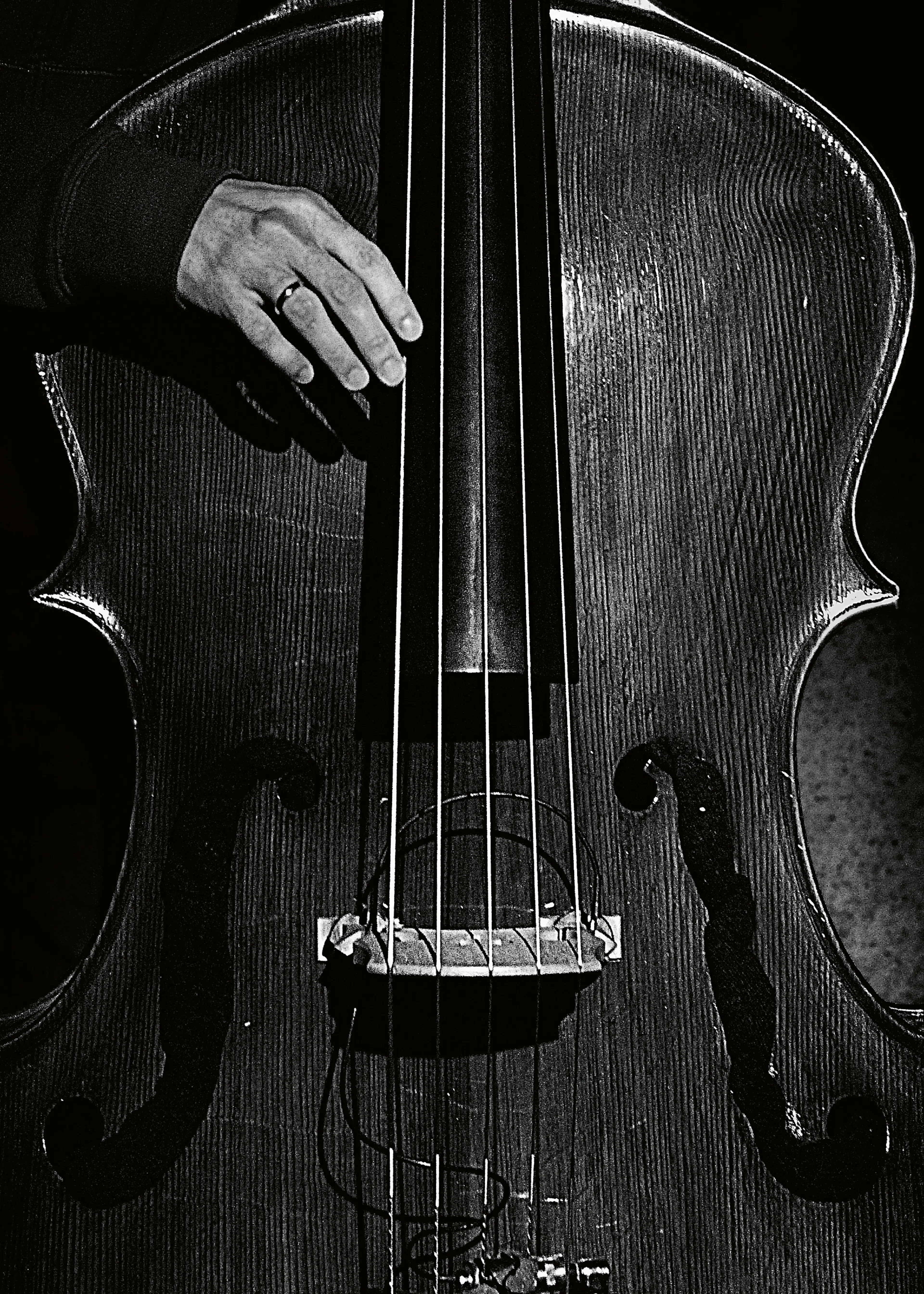 Deep Bass Poster 0