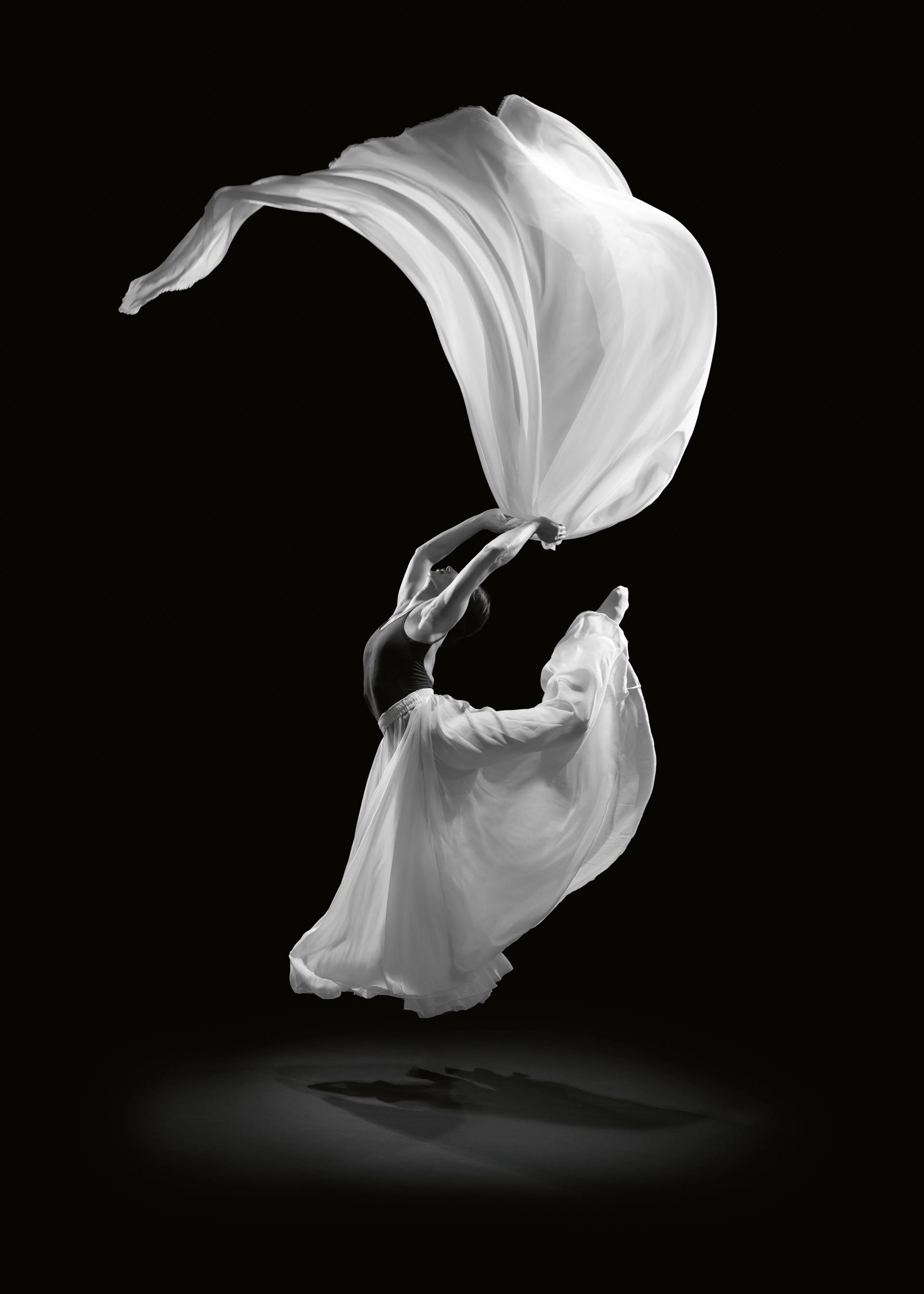 Mouvement Gracieux Poster 0