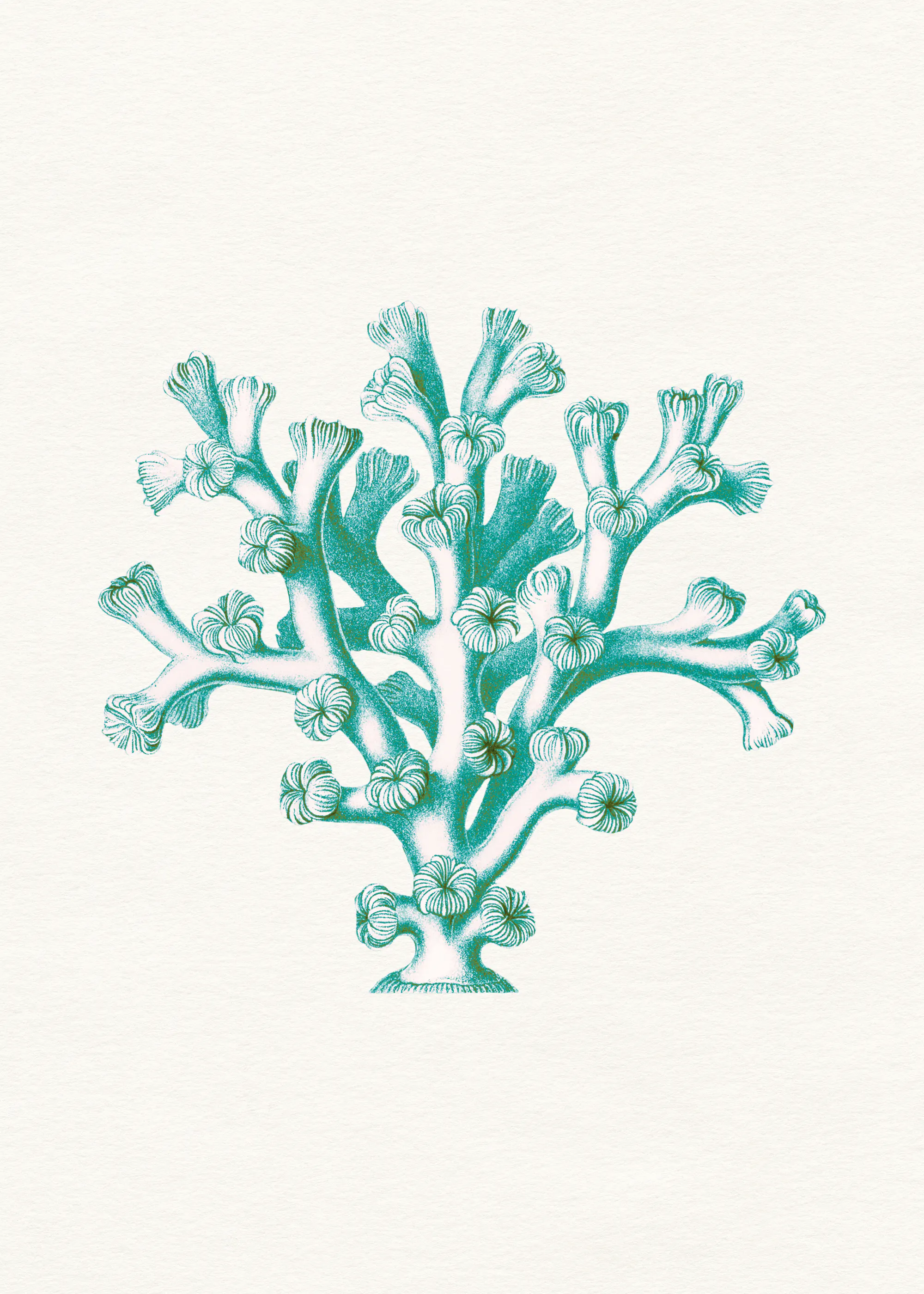 Aqua Coral Bloom Poster 0