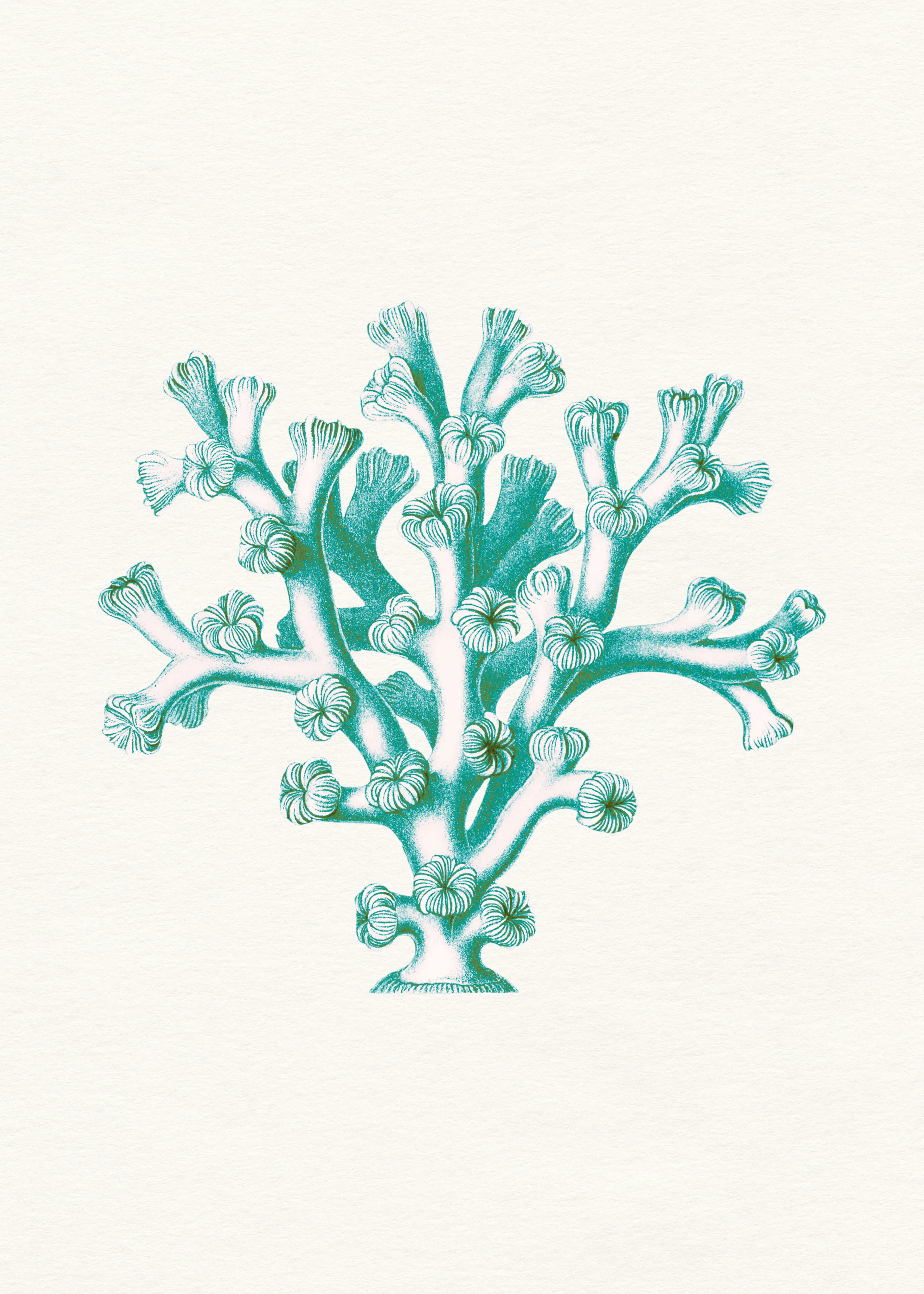 Aqua Coral Bloom Poster 0