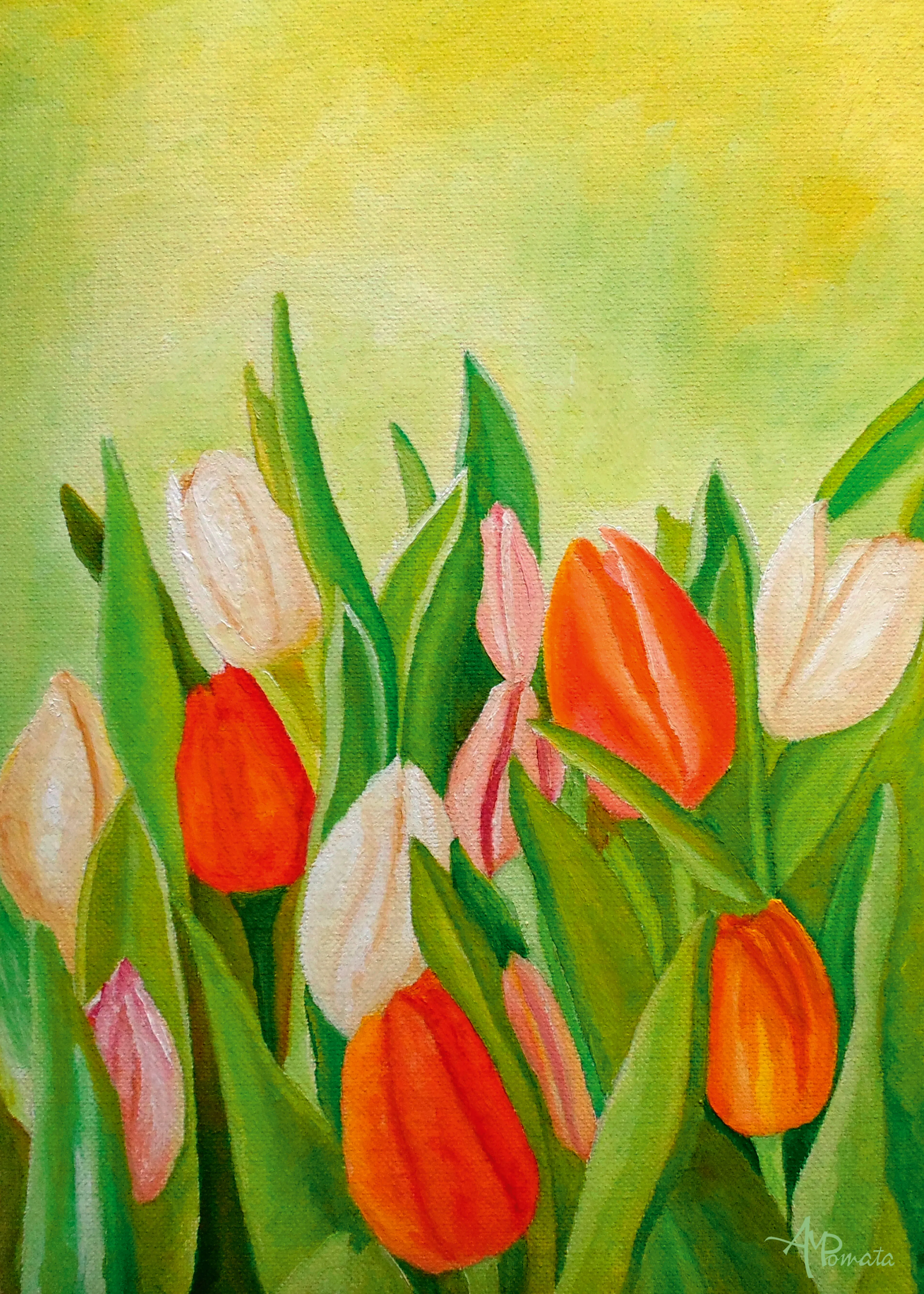 Tulip Garden Poster 0