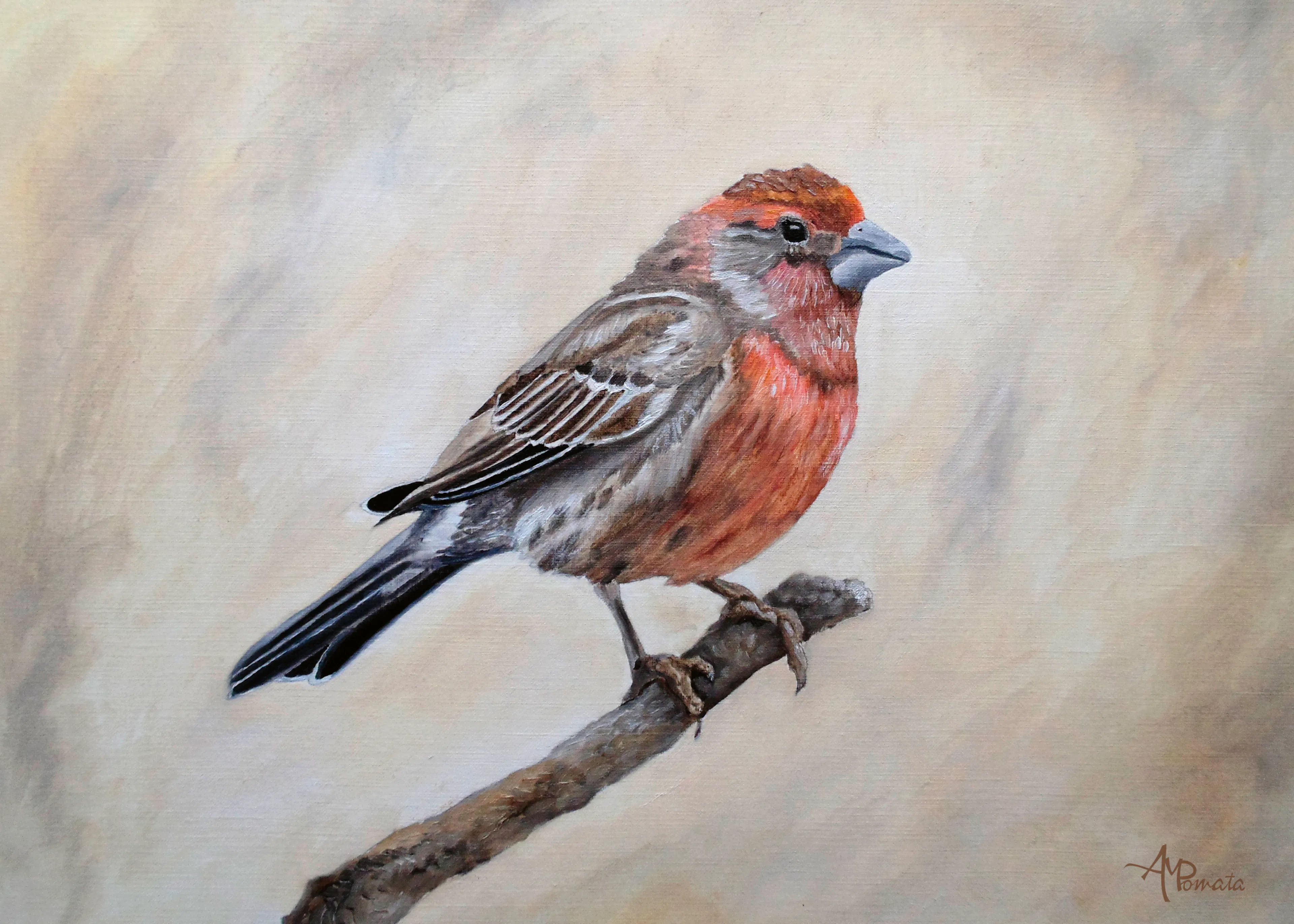 Red Bird Poster 0