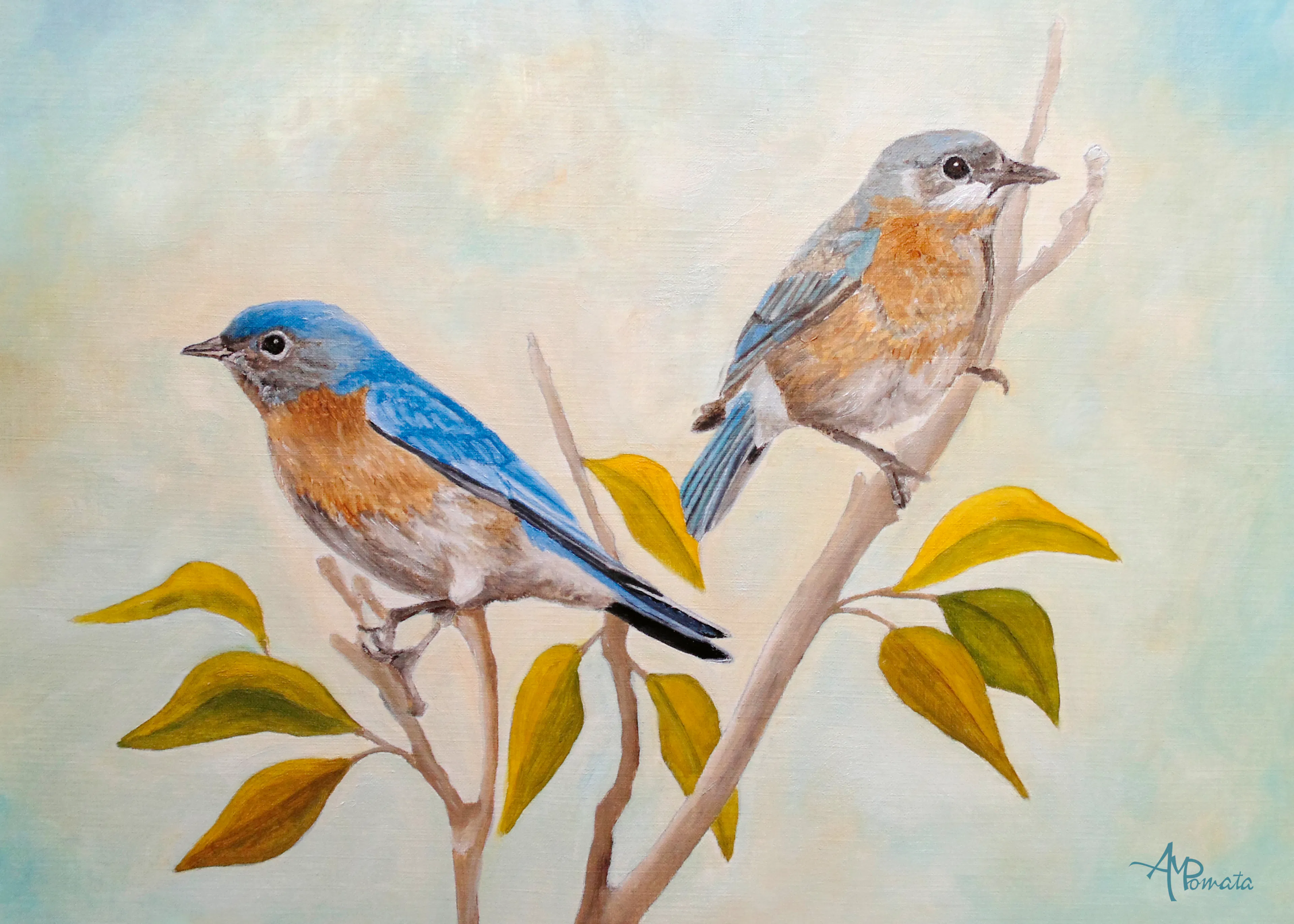 Bluebird Serenity Poster 0
