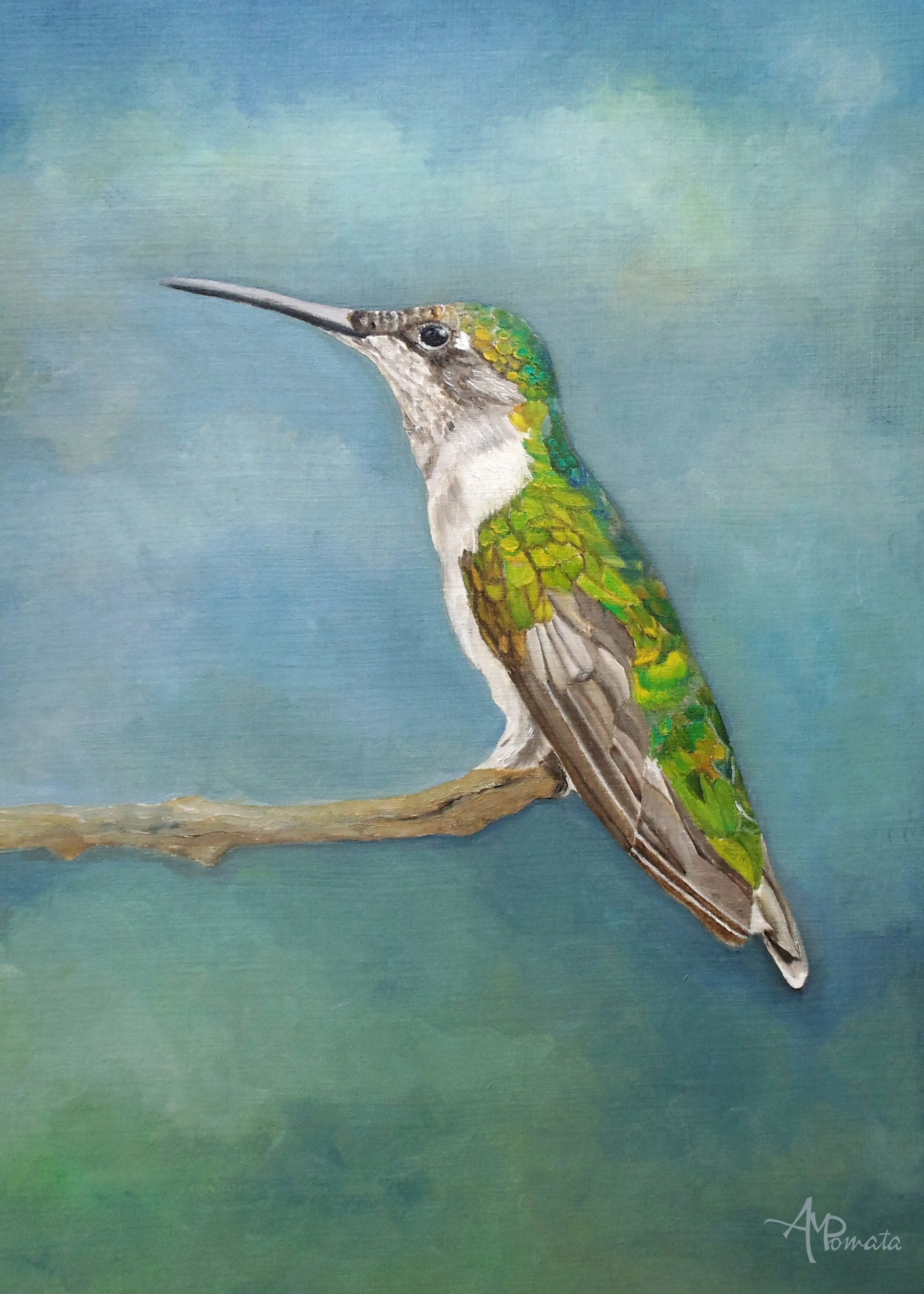Serene Hummingbird Poster 0