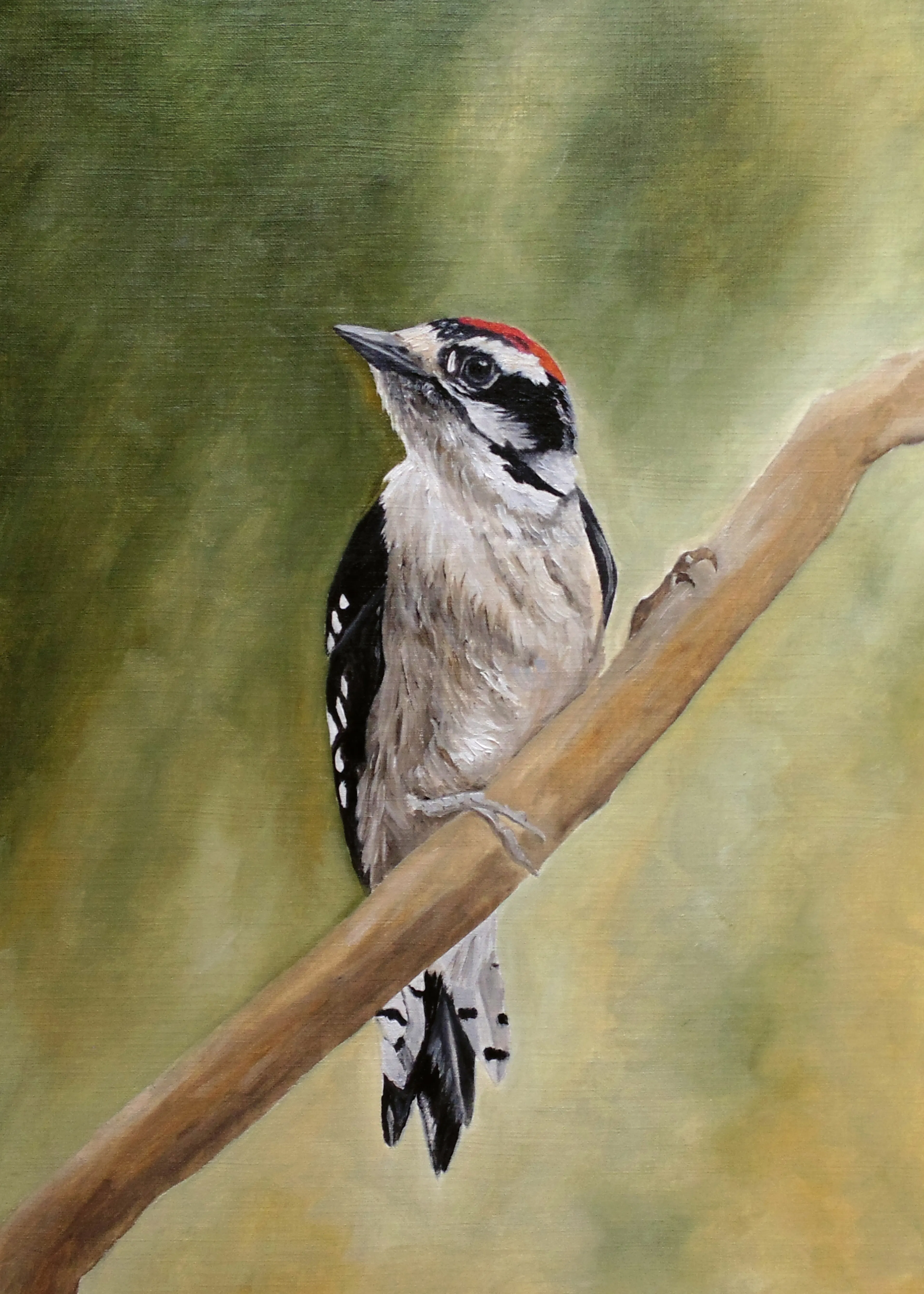 Woodpecker Calm Poster 0