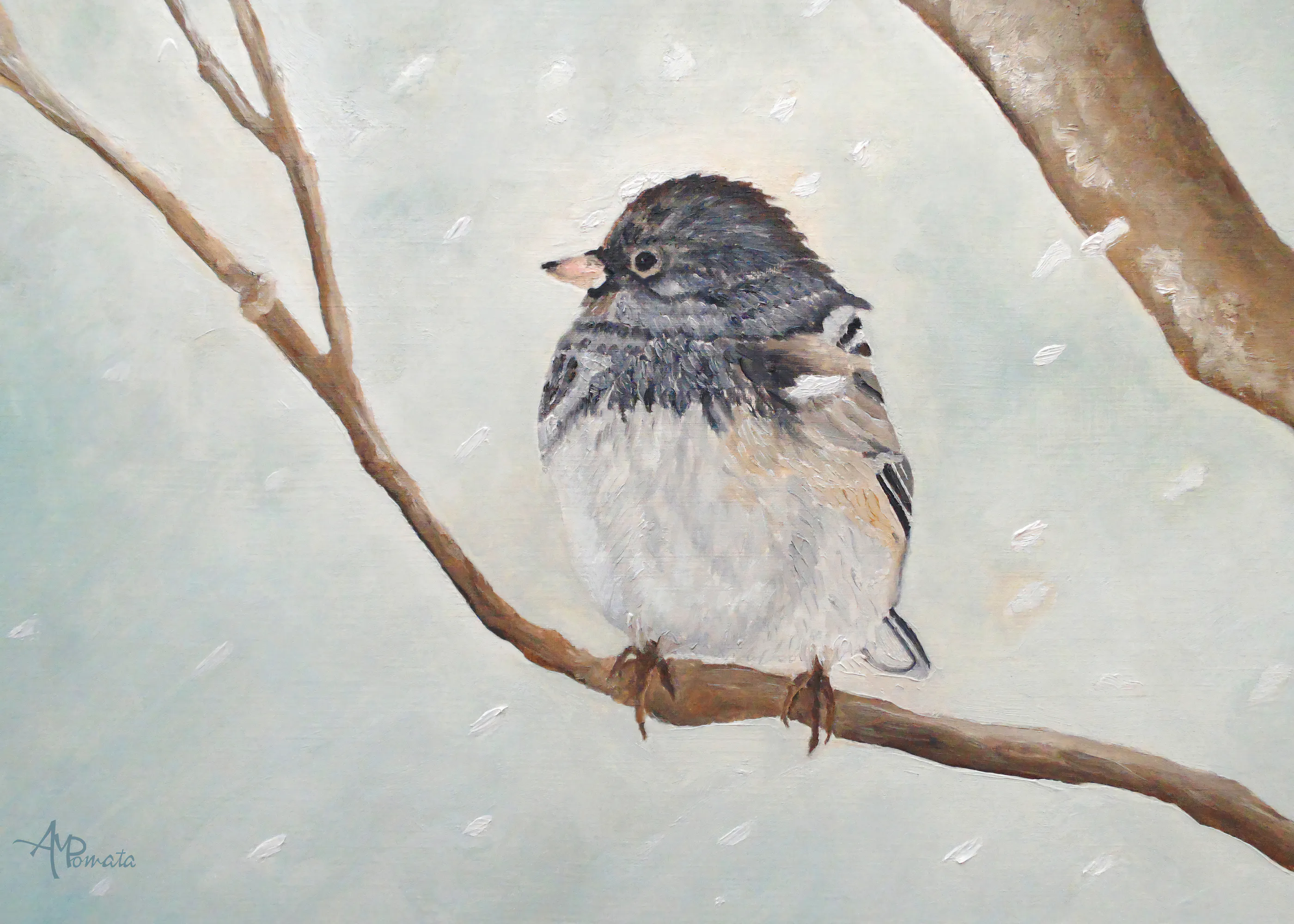 Winter Sparrow Poster 0