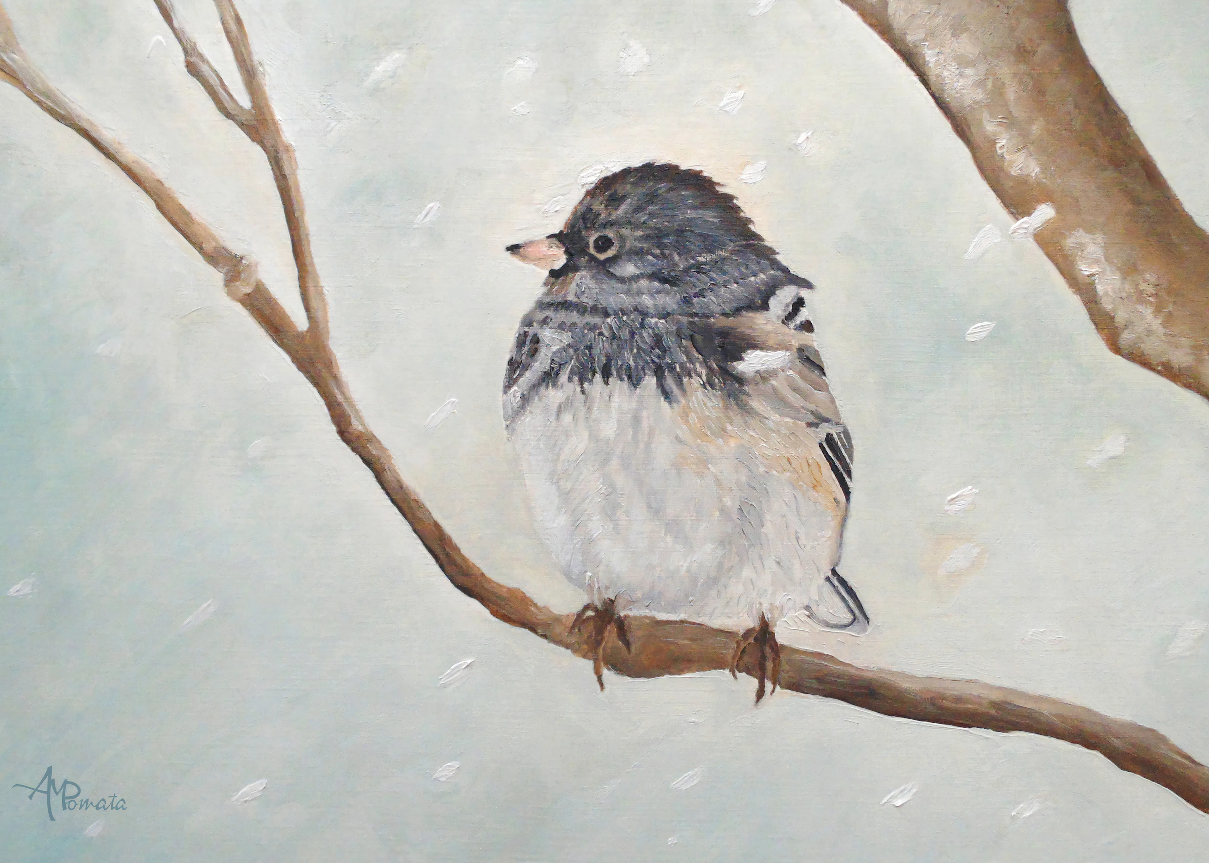 Winter Sparrow Poster 0