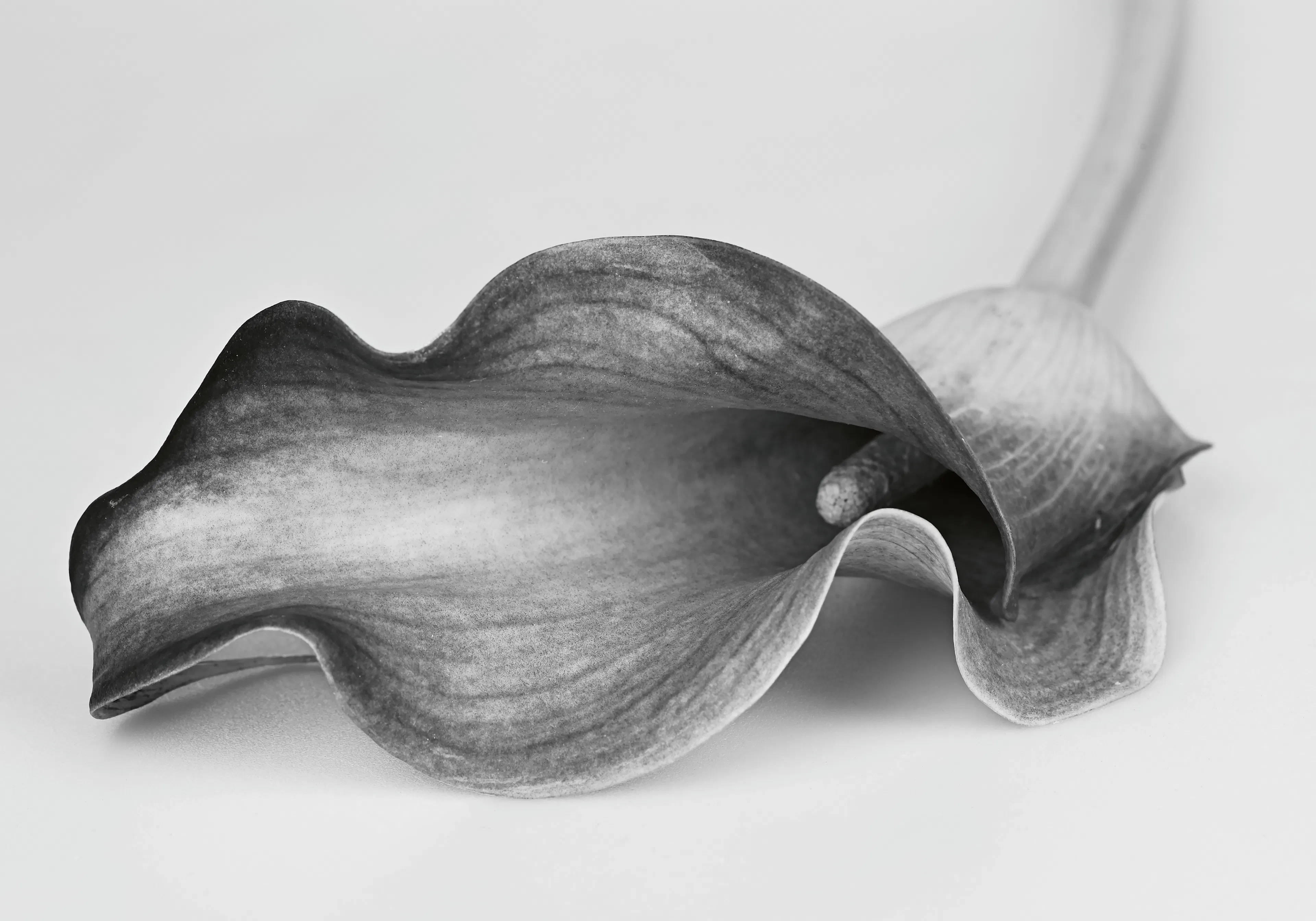 Product image: 1