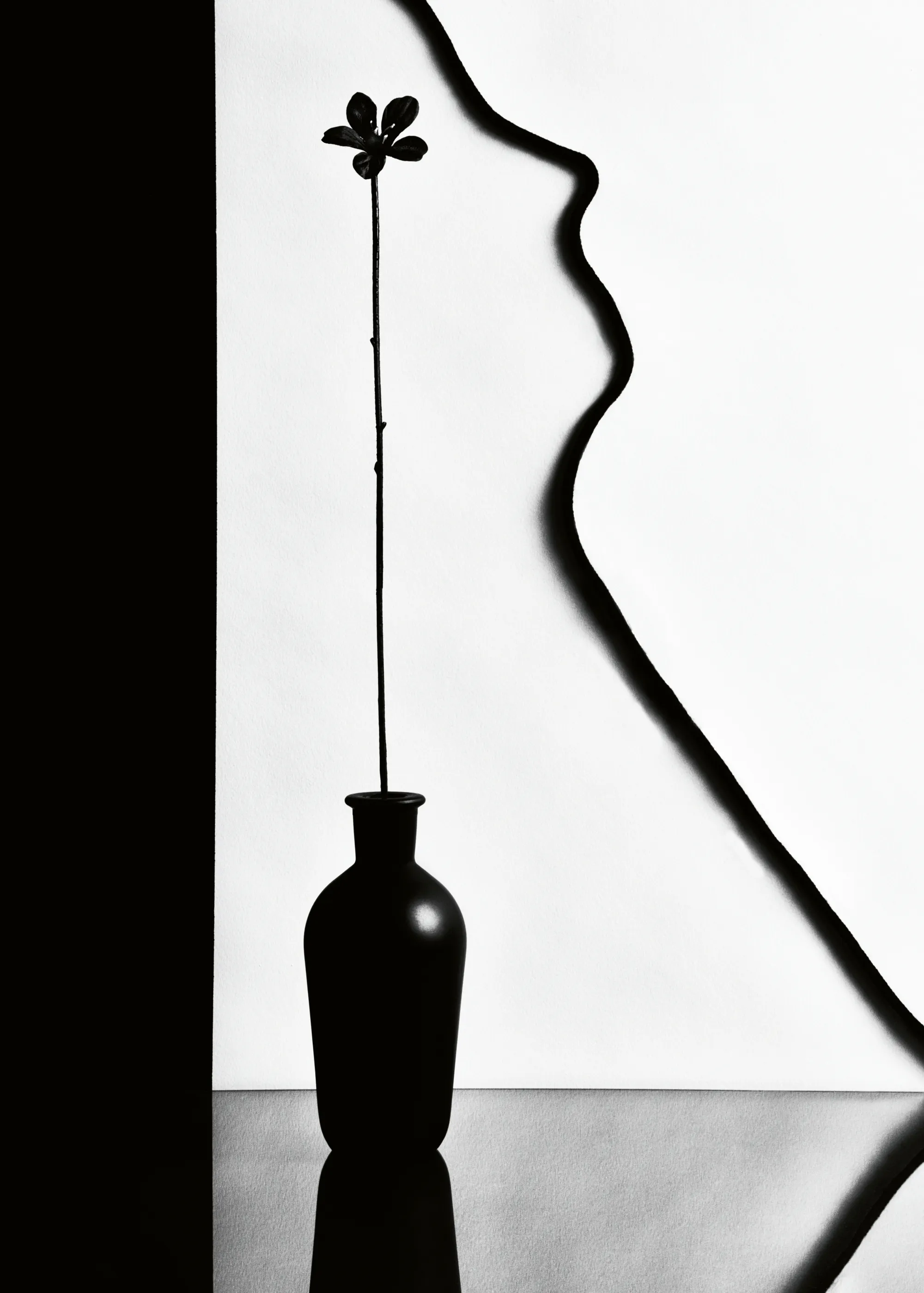 Minimalist Shadow Poster 0