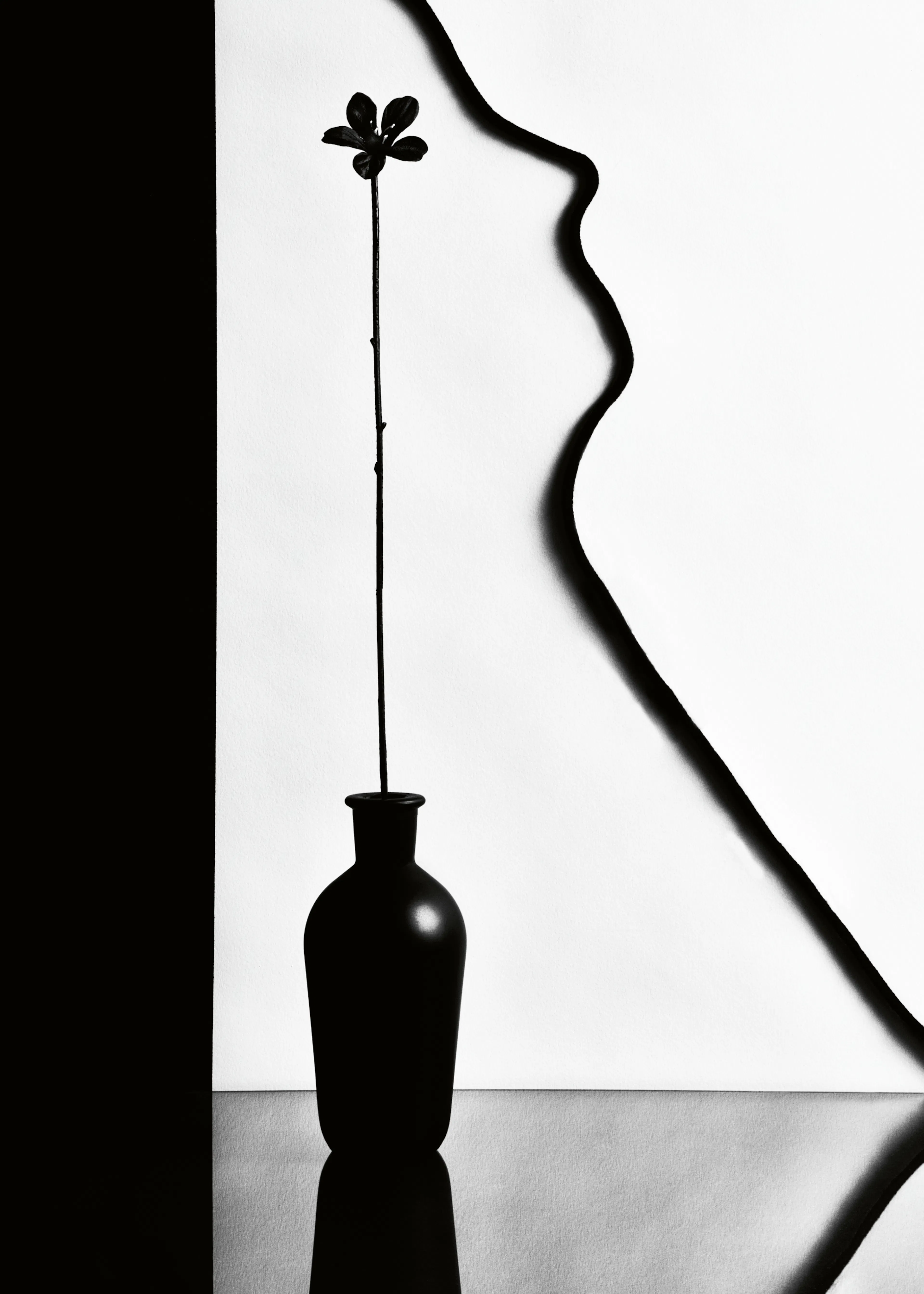 Minimalist Shadow Poster 0