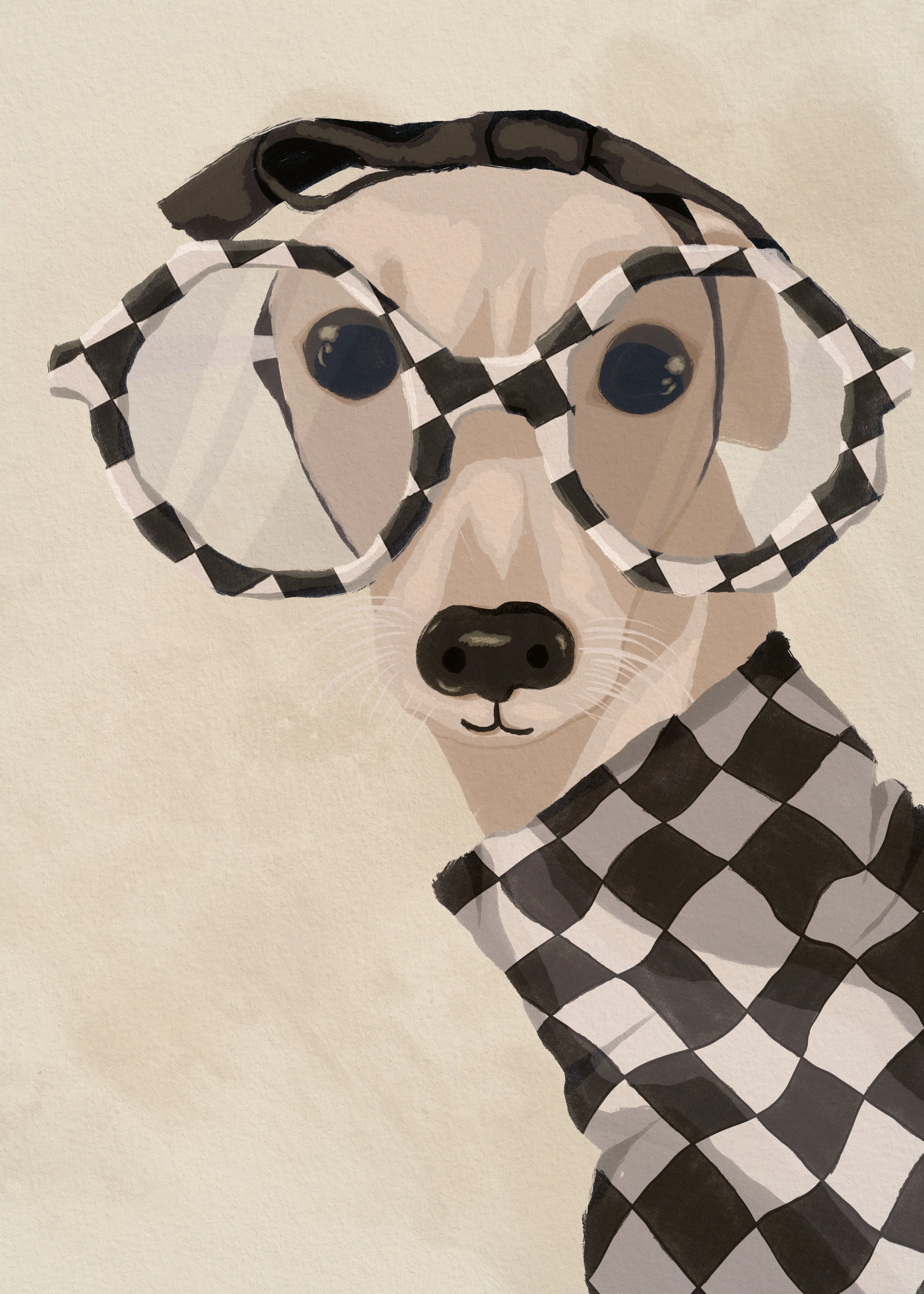 Checkered Dog Poster 0