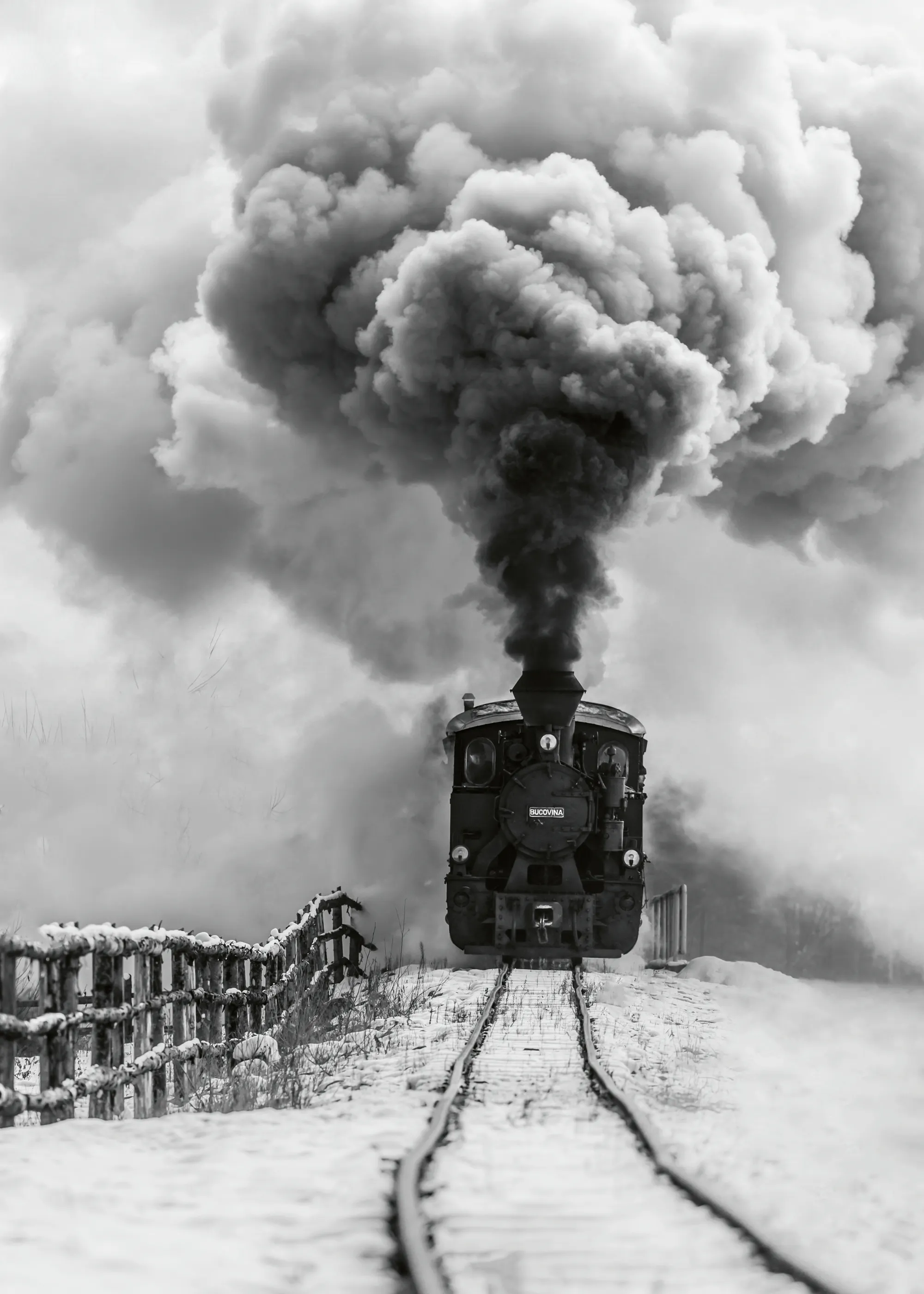 Steam Train Poster 0