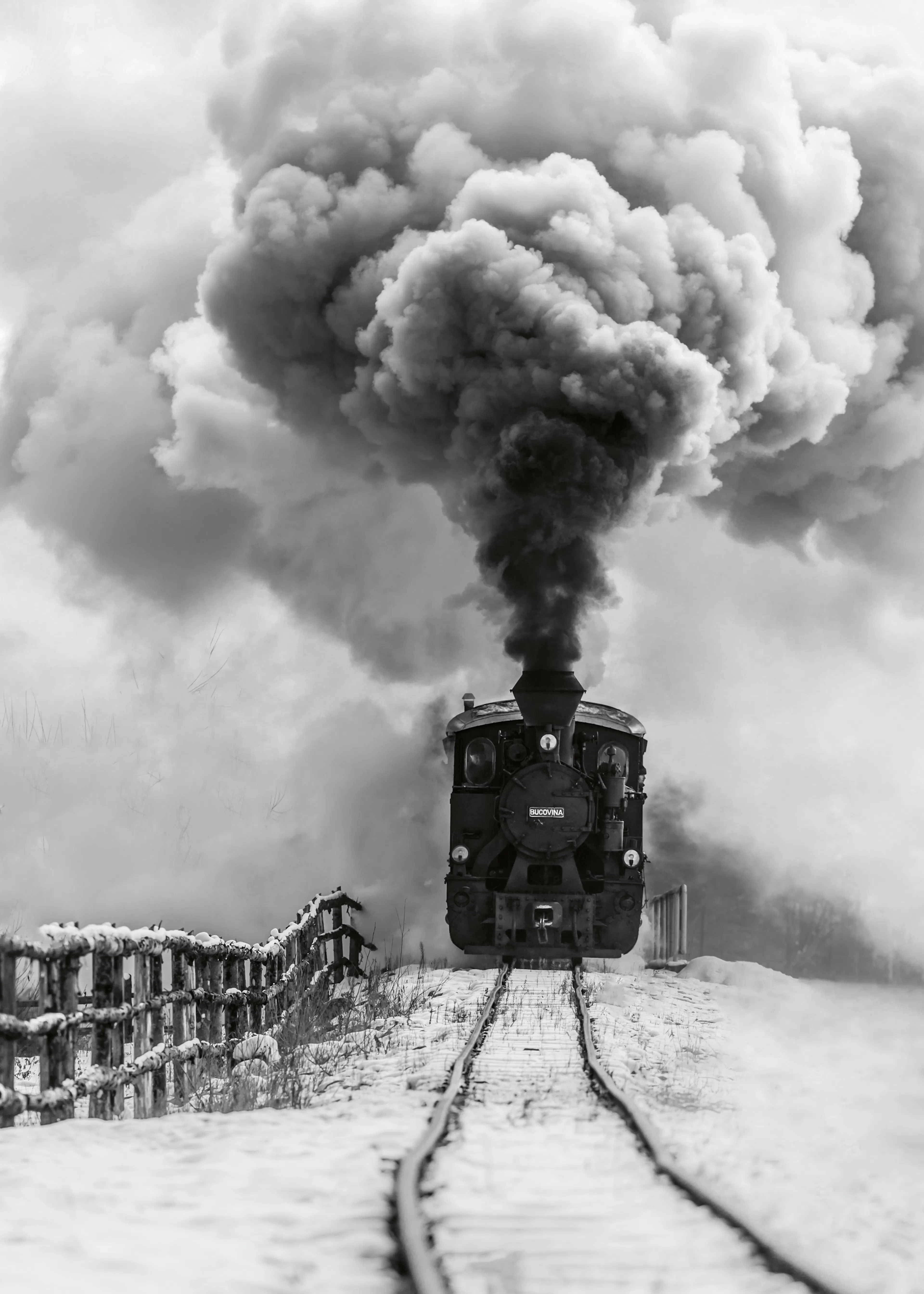 Steam Train Poster 0